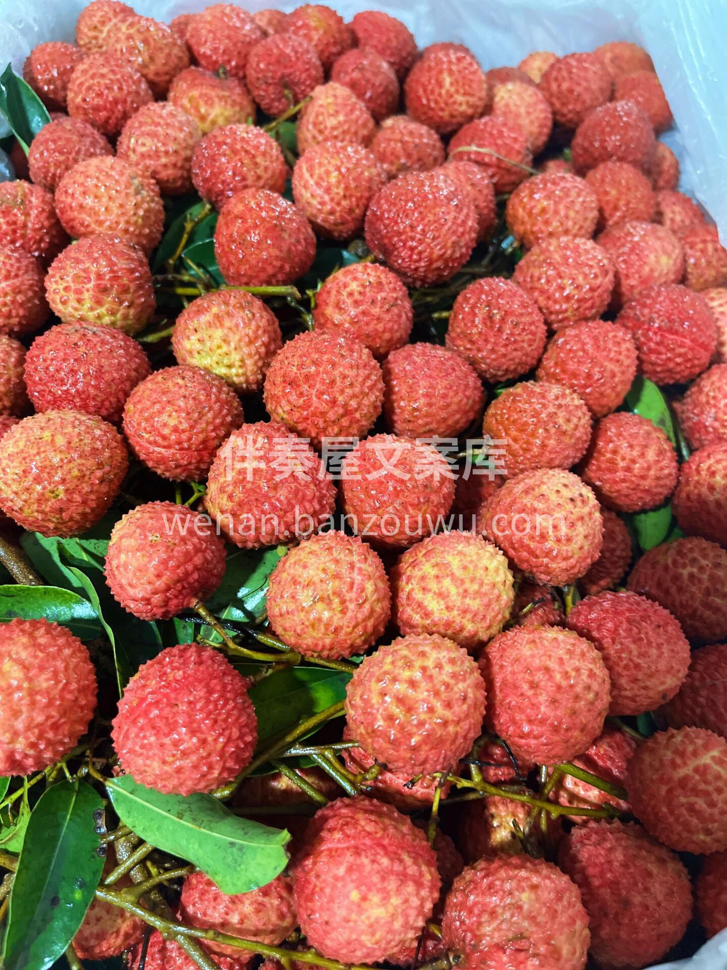 桂味荔枝一口夏日味～～ 🌈是微风 是晚霞 配图3