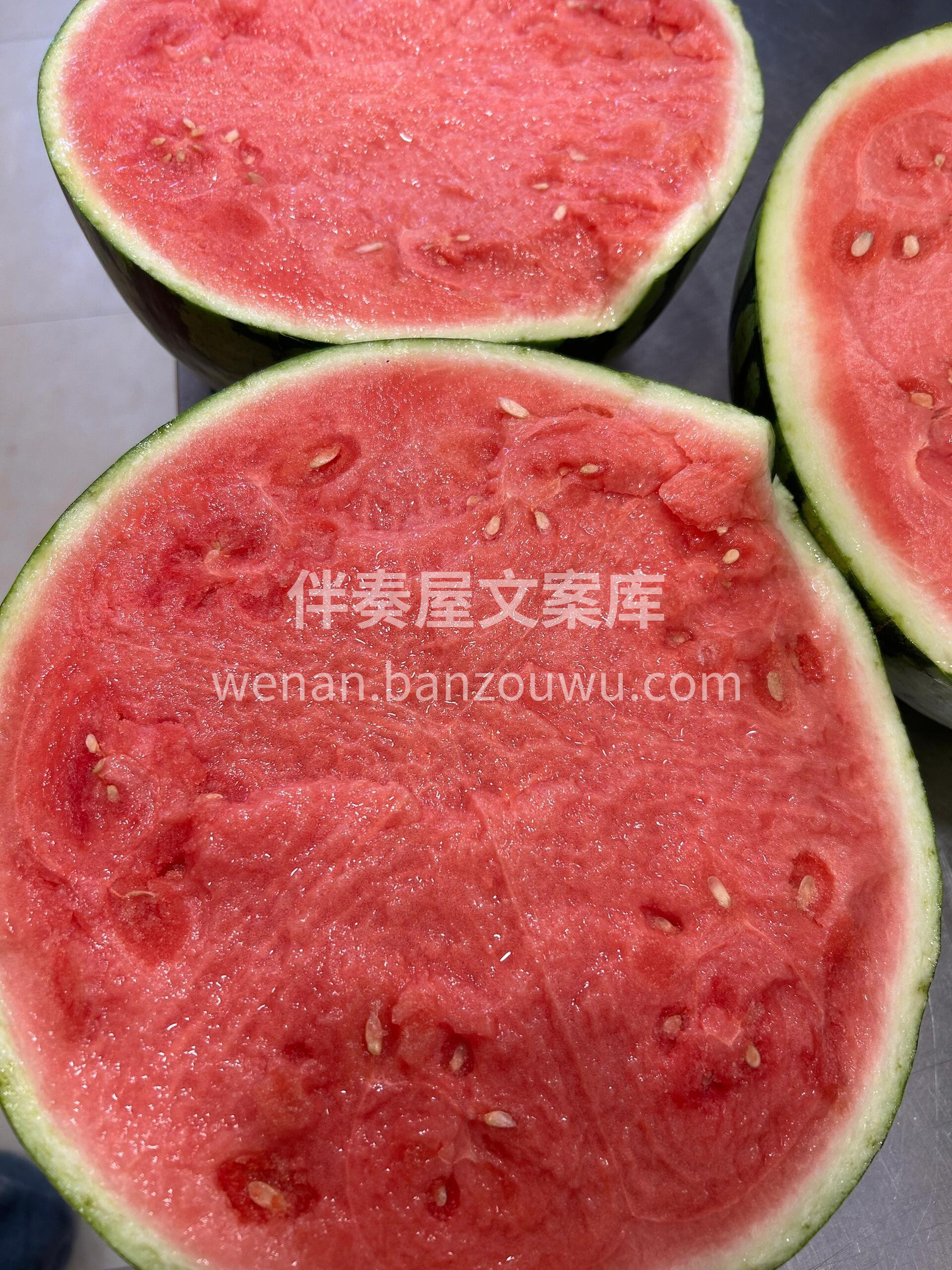 𝙃𝙖𝙥𝙥𝙮 𝙀𝙫𝙚𝙧𝙮𝙙𝙖𝙮 𖠚ᐝ 🍮๑ 配图1