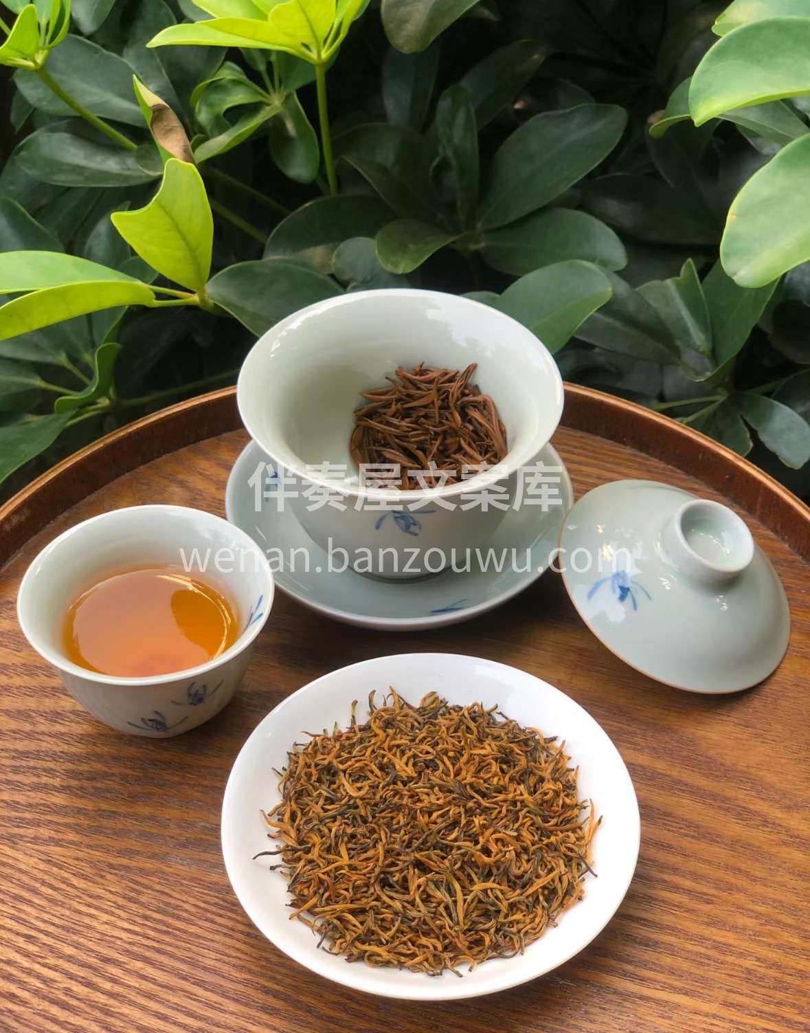 🌿 金骏眉，武夷红茶翘楚。蜜香裹挟桂圆甜 配图2