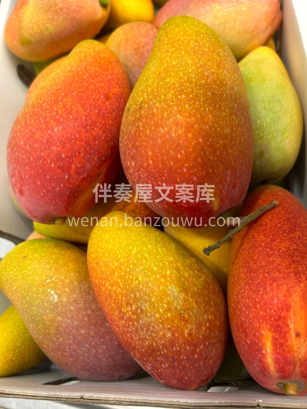 🌴海南树熟贵妃芒🥭正当时自然熟的香甜味🌸 配图1