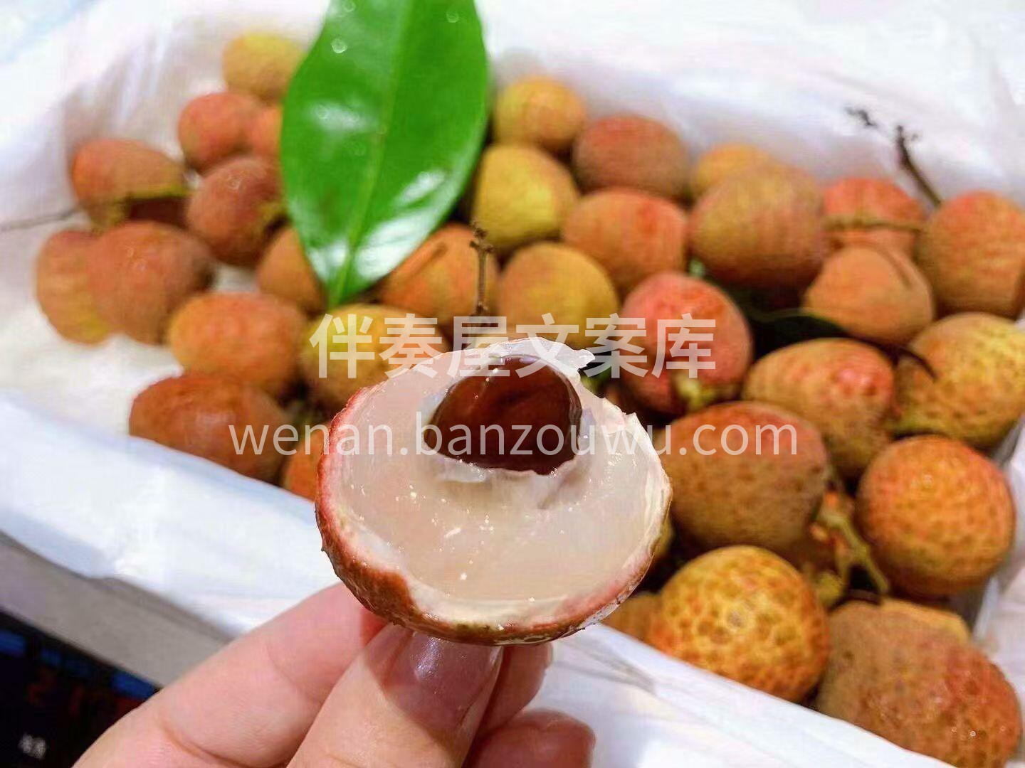 🍒最近问荔枝的人挺多 可以安排上了👌 现 配图2