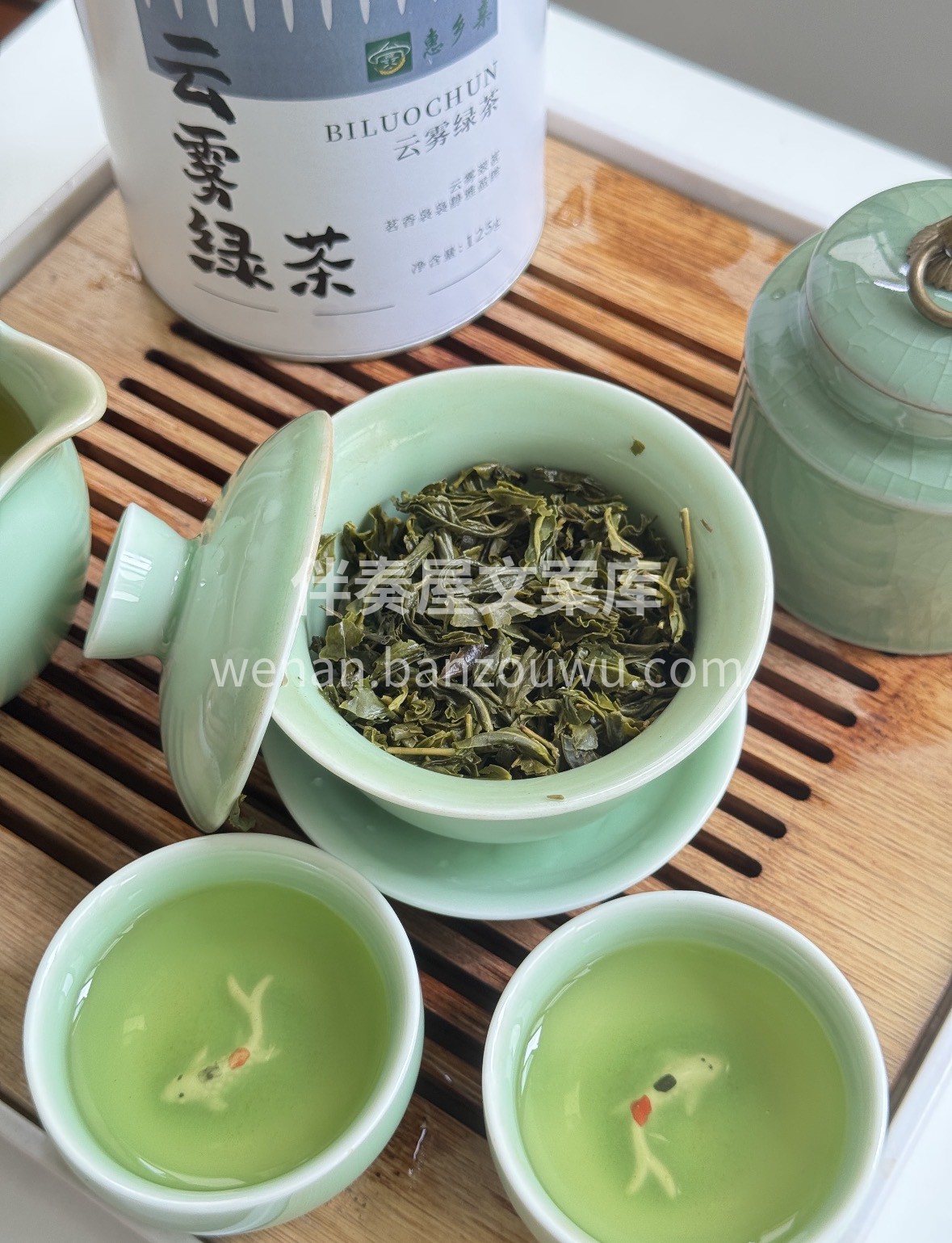 冬天❄️云雾绿茶🍵 雪落窗前，沏一壶云雾 配图3