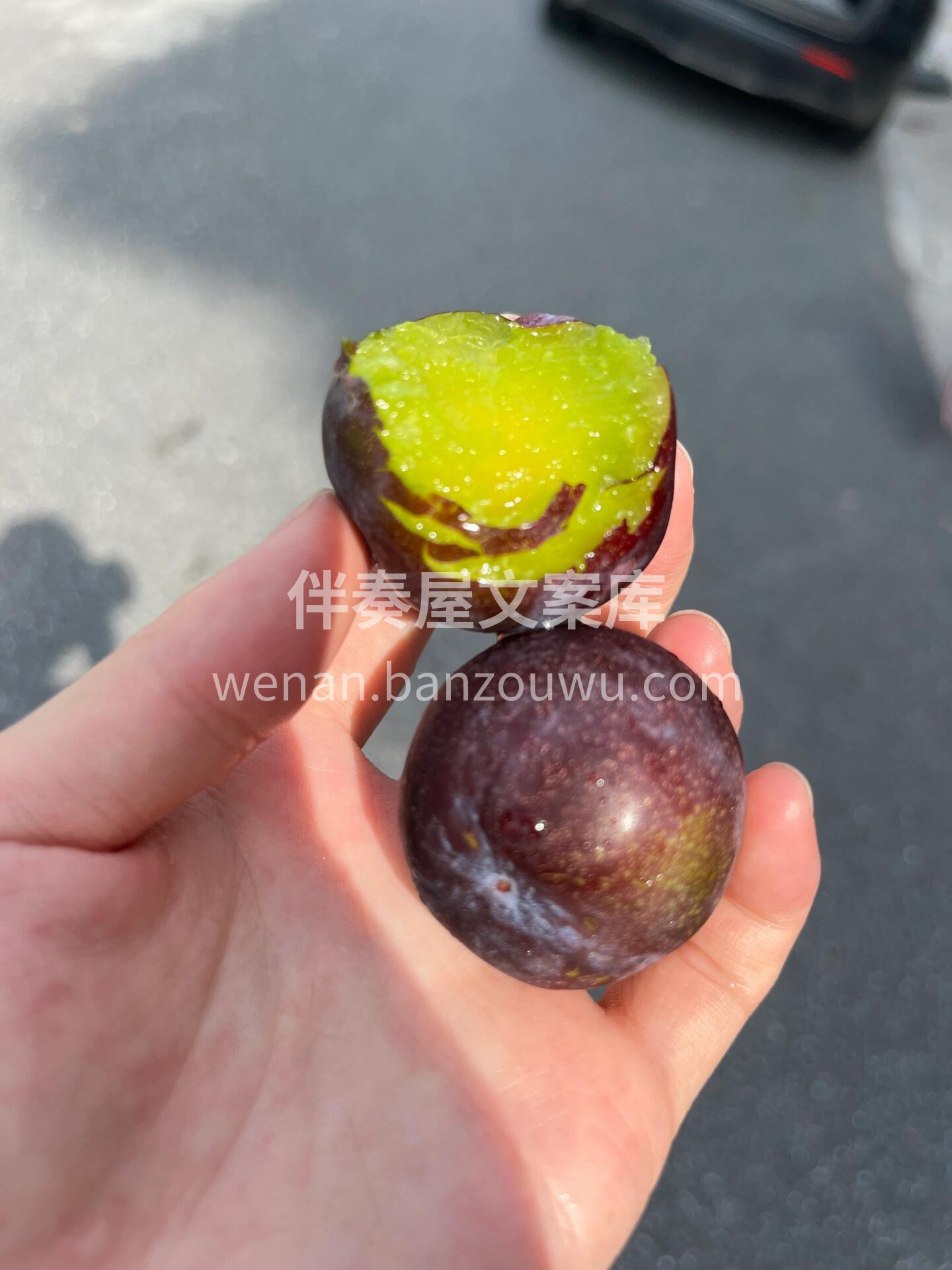 上新🔥青红脆李✅ 清爽的果肉，更有夏日的 配图2