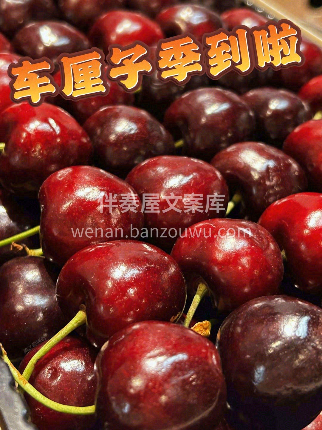 前半生，不要打折的是爱情💏。 后半生，不 配图2