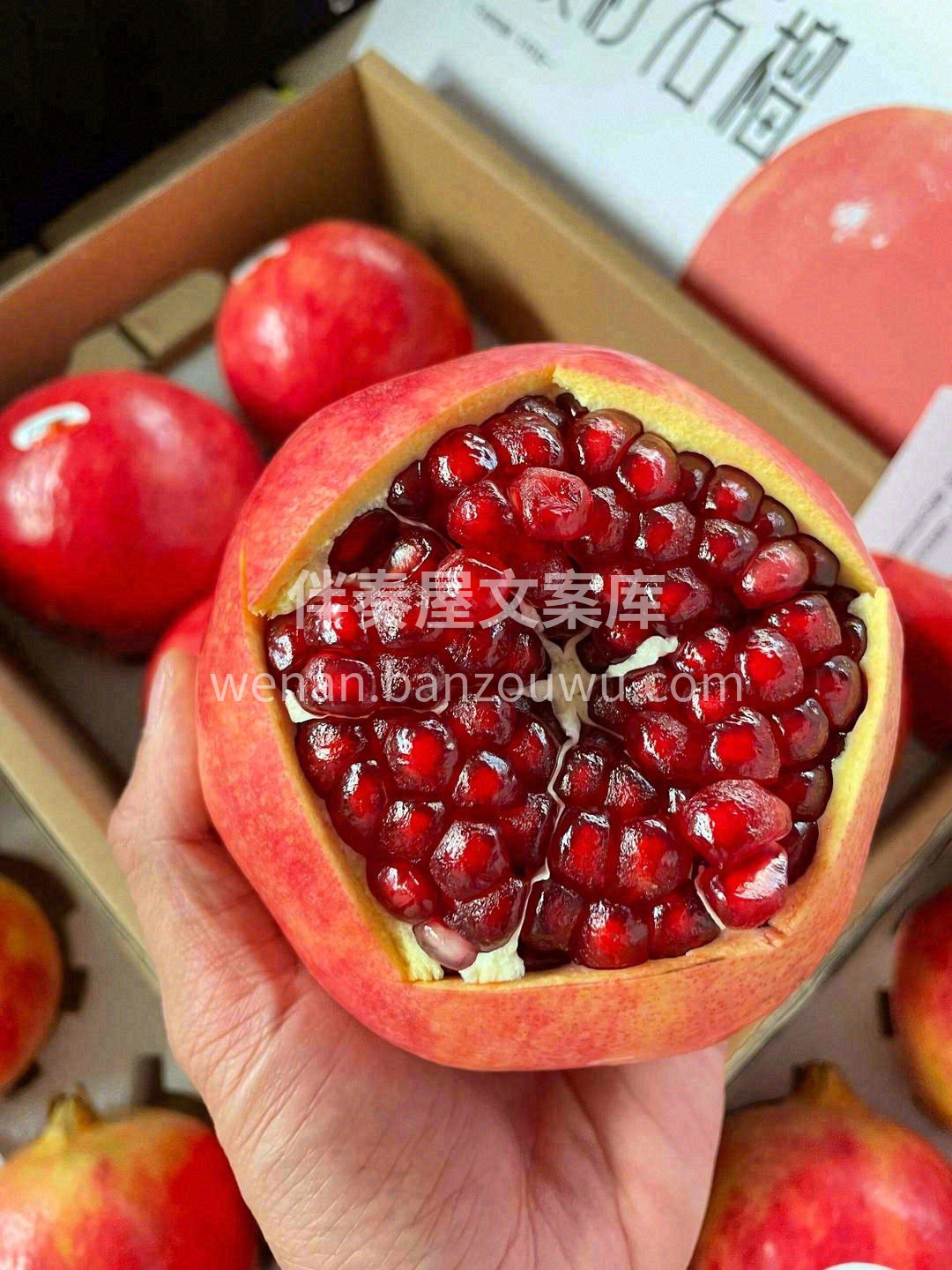 软籽石榴💗，香味浓郁，口感清甜多汁，粒大 配图1