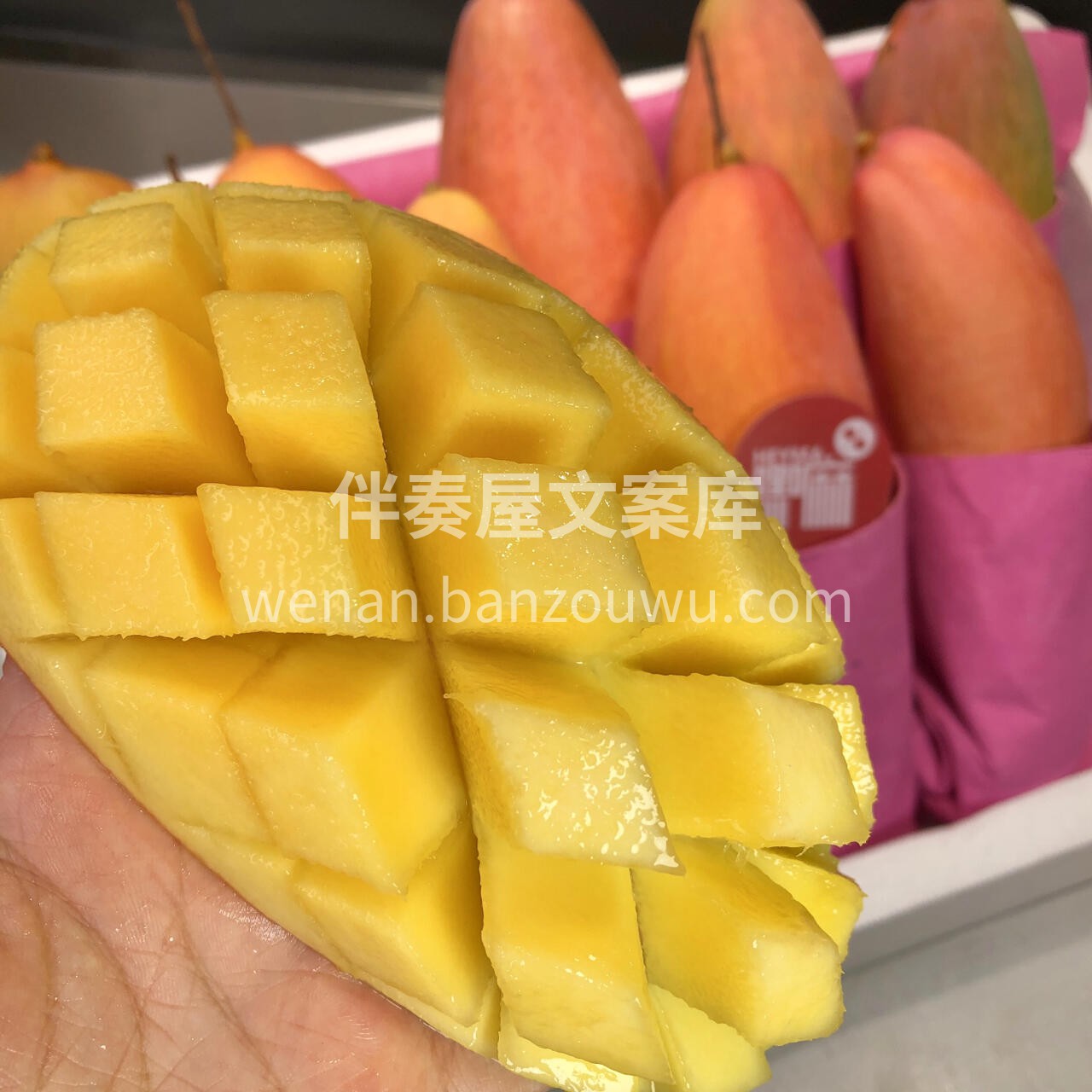 路遇过春风十里💃，却始终抵不上你的一口甜 配图1