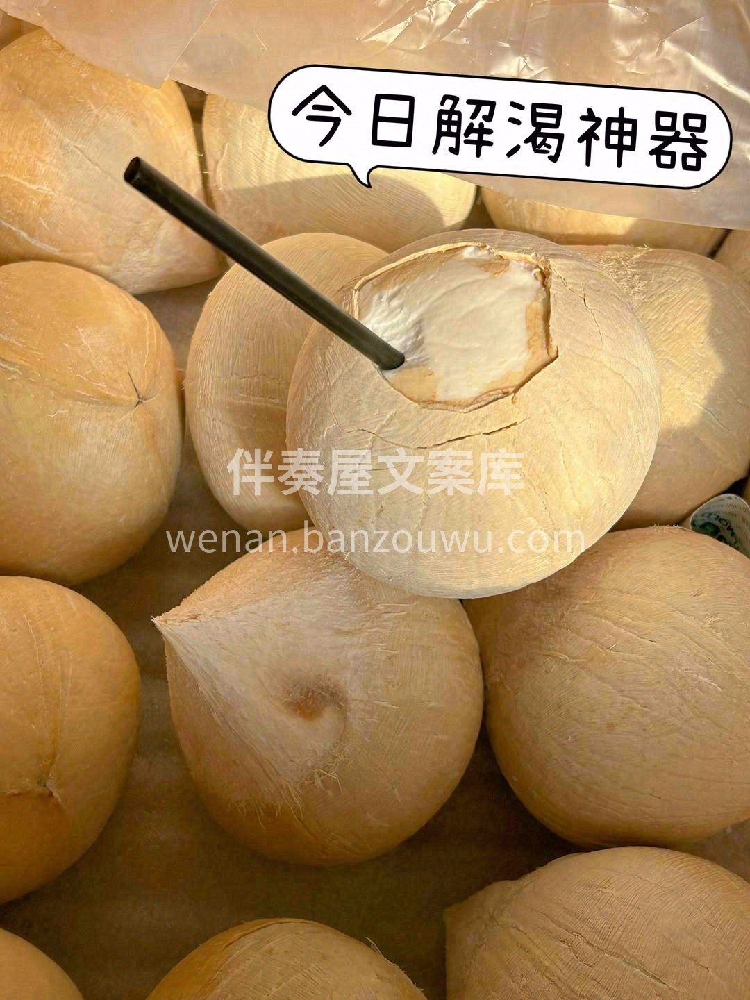 💯纯正的泰国椰皇，精挑细选的泰国椰皇 ✅ 配图2