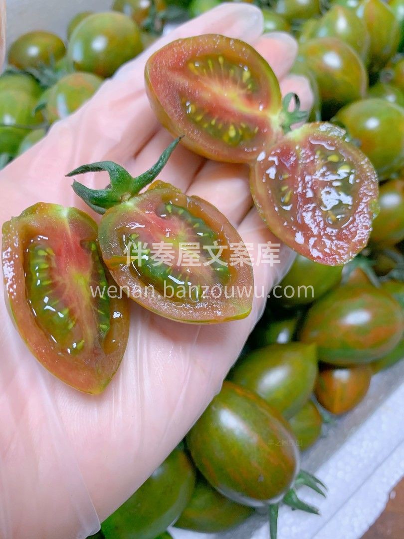 🍅迷彩小番茄🍅 酸酸甜甜恰到好处👍👍 番 配图3