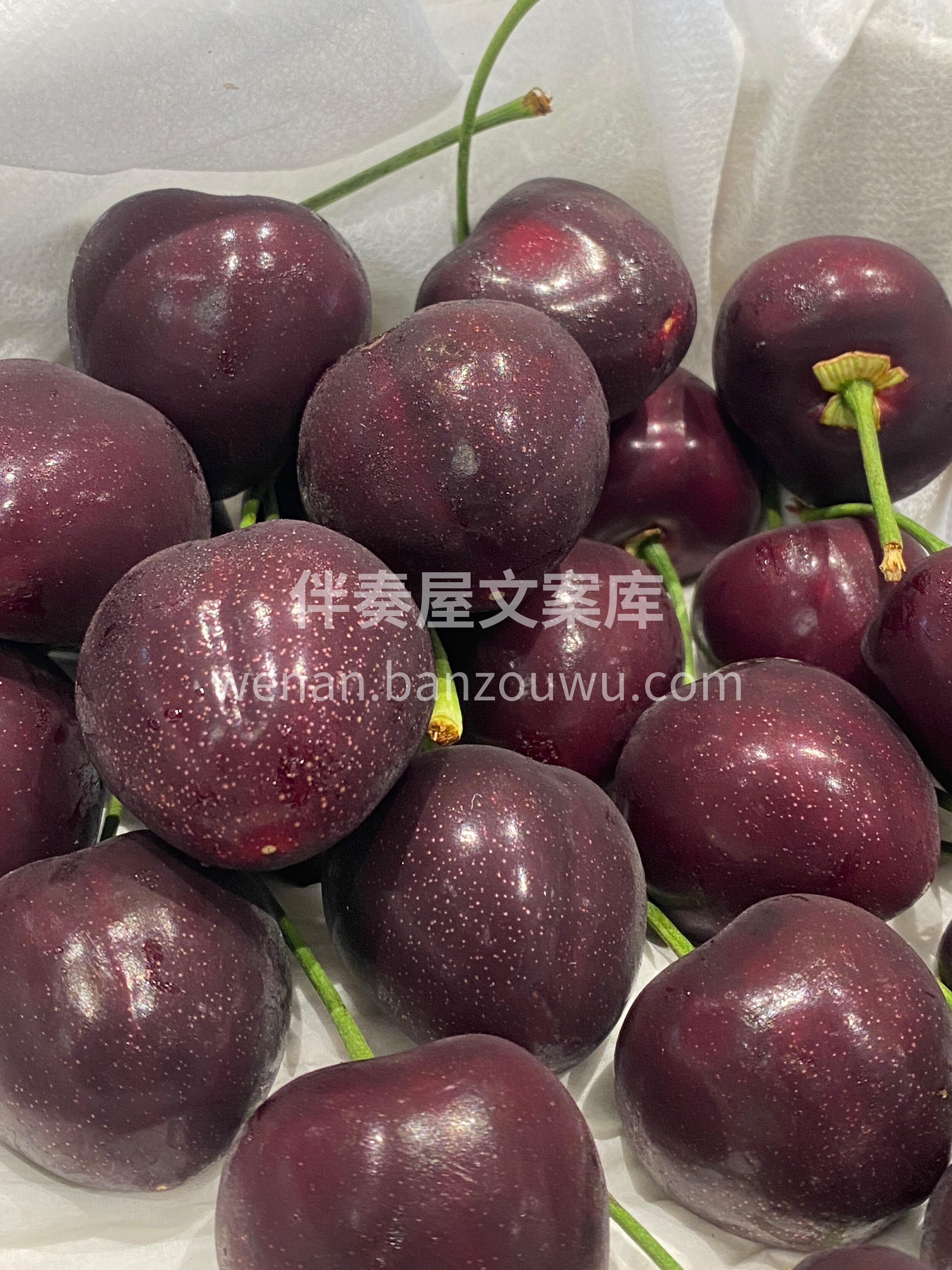 🔥爆款俄八樱桃🍒回归‼️ 颜值很惊艳，瞬 配图2