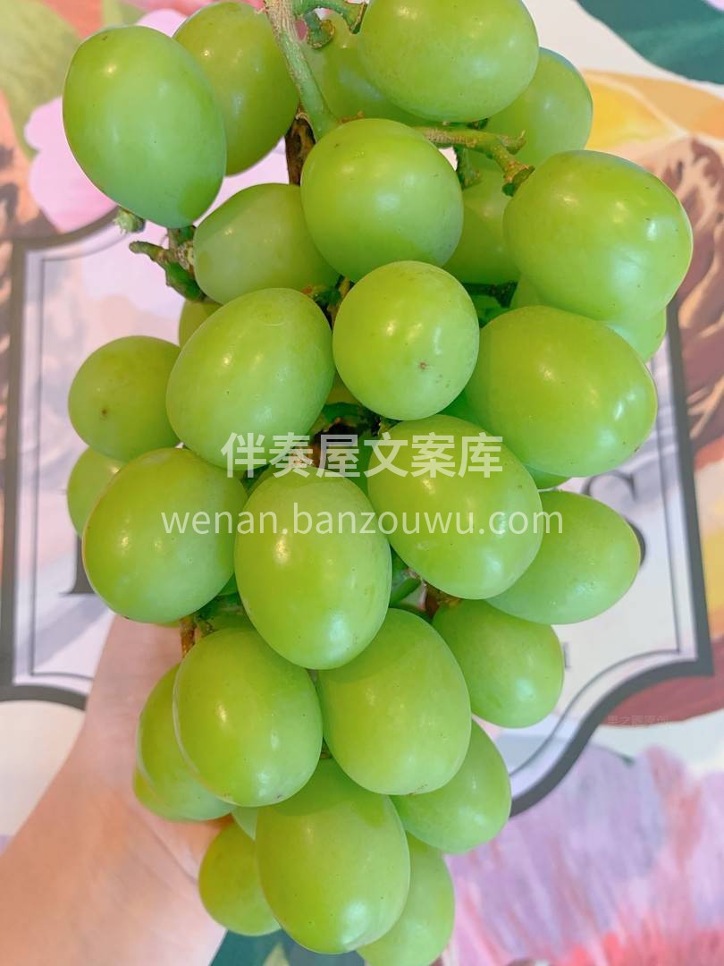 外表莹润饱满有光泽💎，颗颗都散发着诱人的 配图3