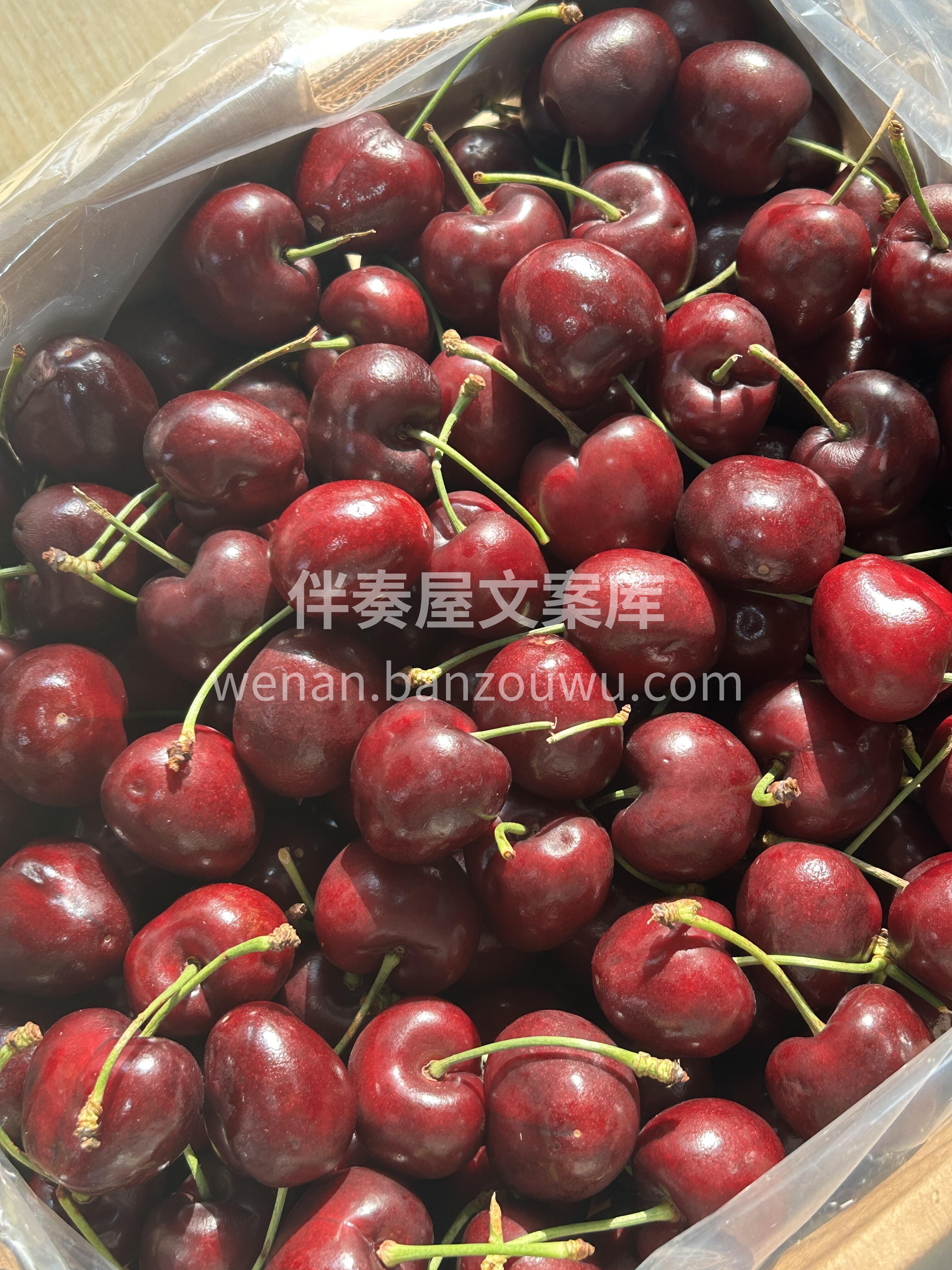 这样的车厘子🍒谁能不爱呢～舌尖的“脆甜小 配图3
