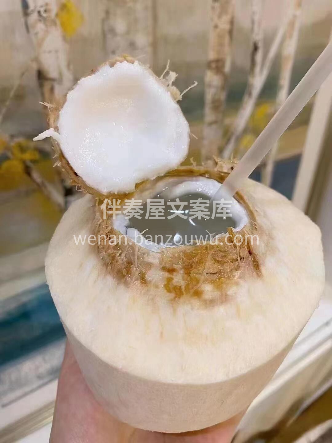 🥥泰国椰青继续热销中～ 椰汁清凉解暑，天 配图1