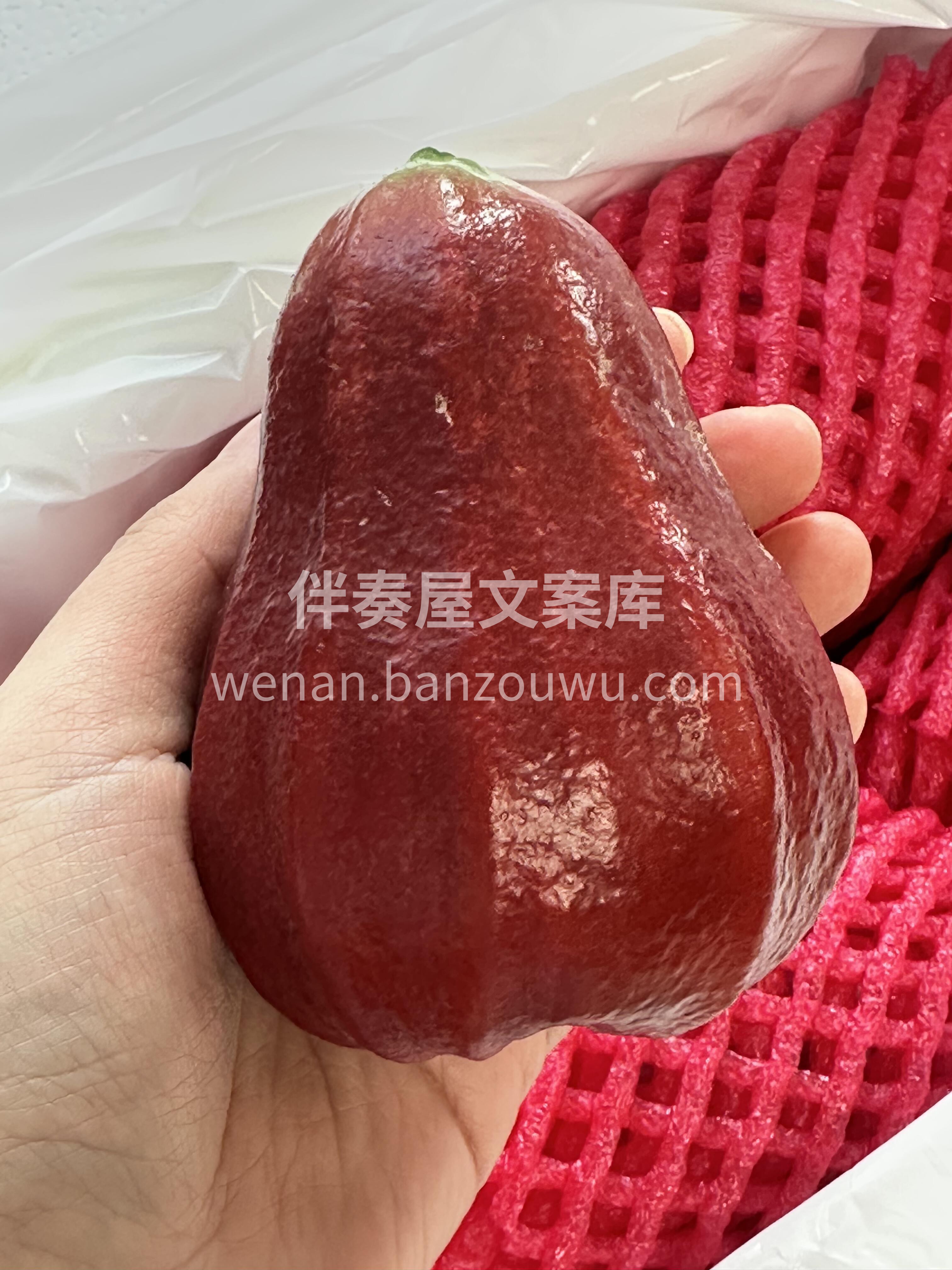 拯救春天的干燥🍁！ 超甜、超水润的黑金刚 配图2