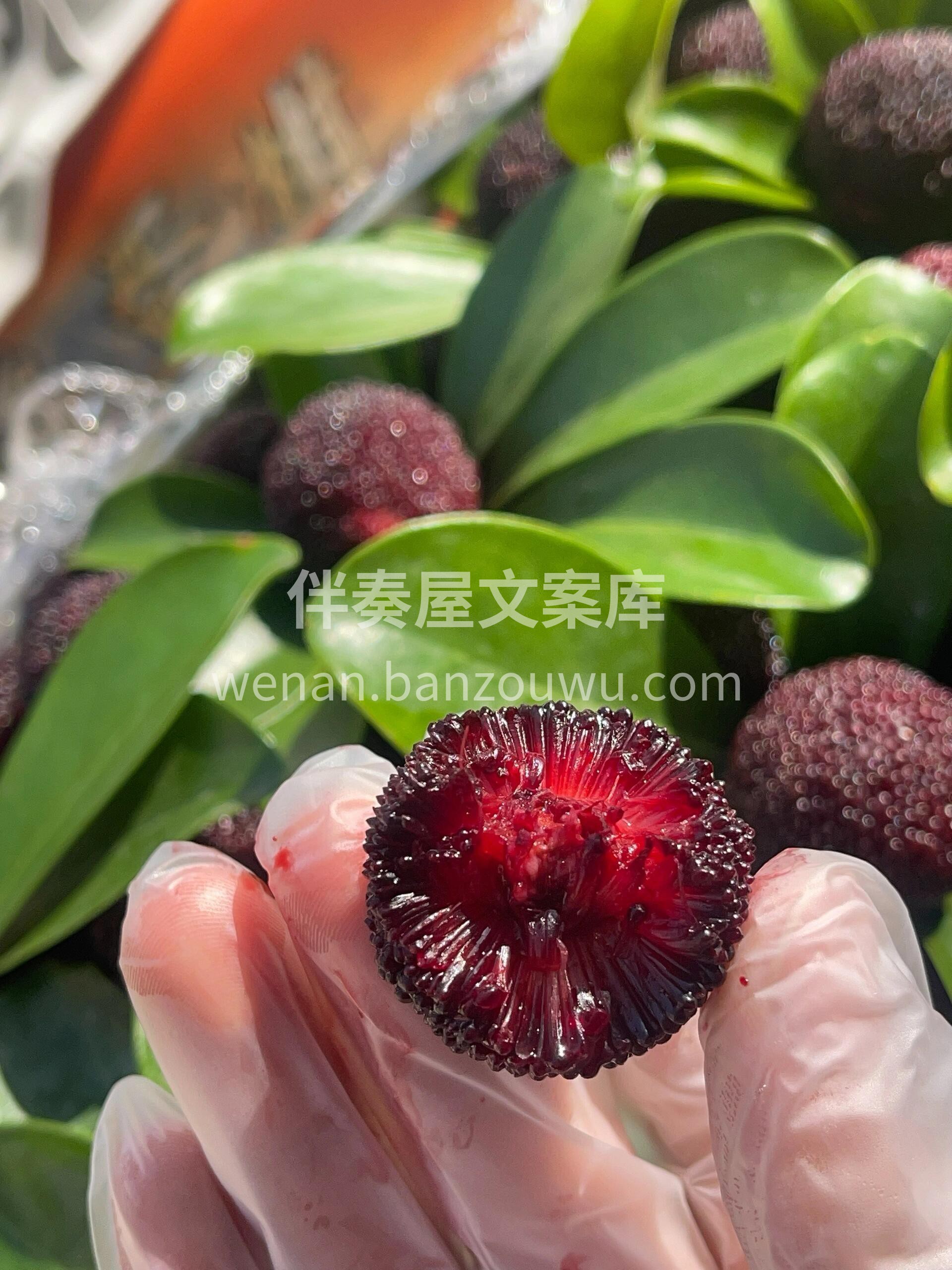 🌿初夏杨桃闪亮登场！ 果肉脆嫩，酸甜清爽 配图1