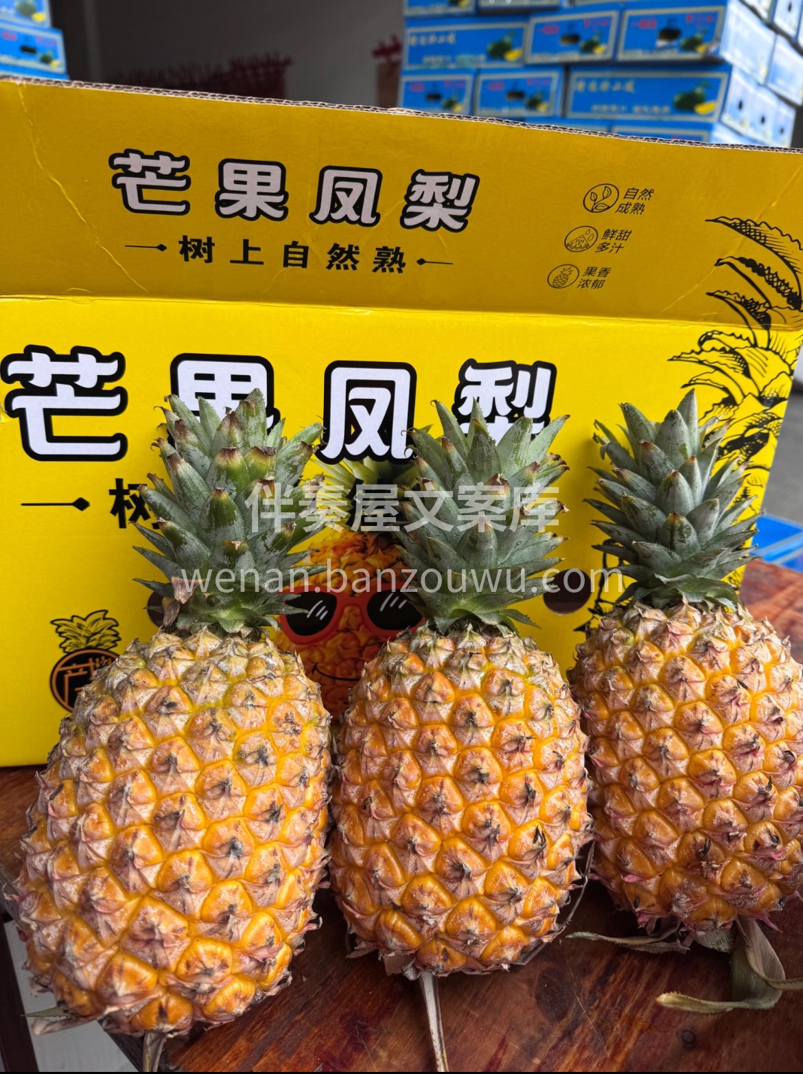 此生不炫芒果凤梨，尝遍热带鲜果也枉然‼️ 配图2