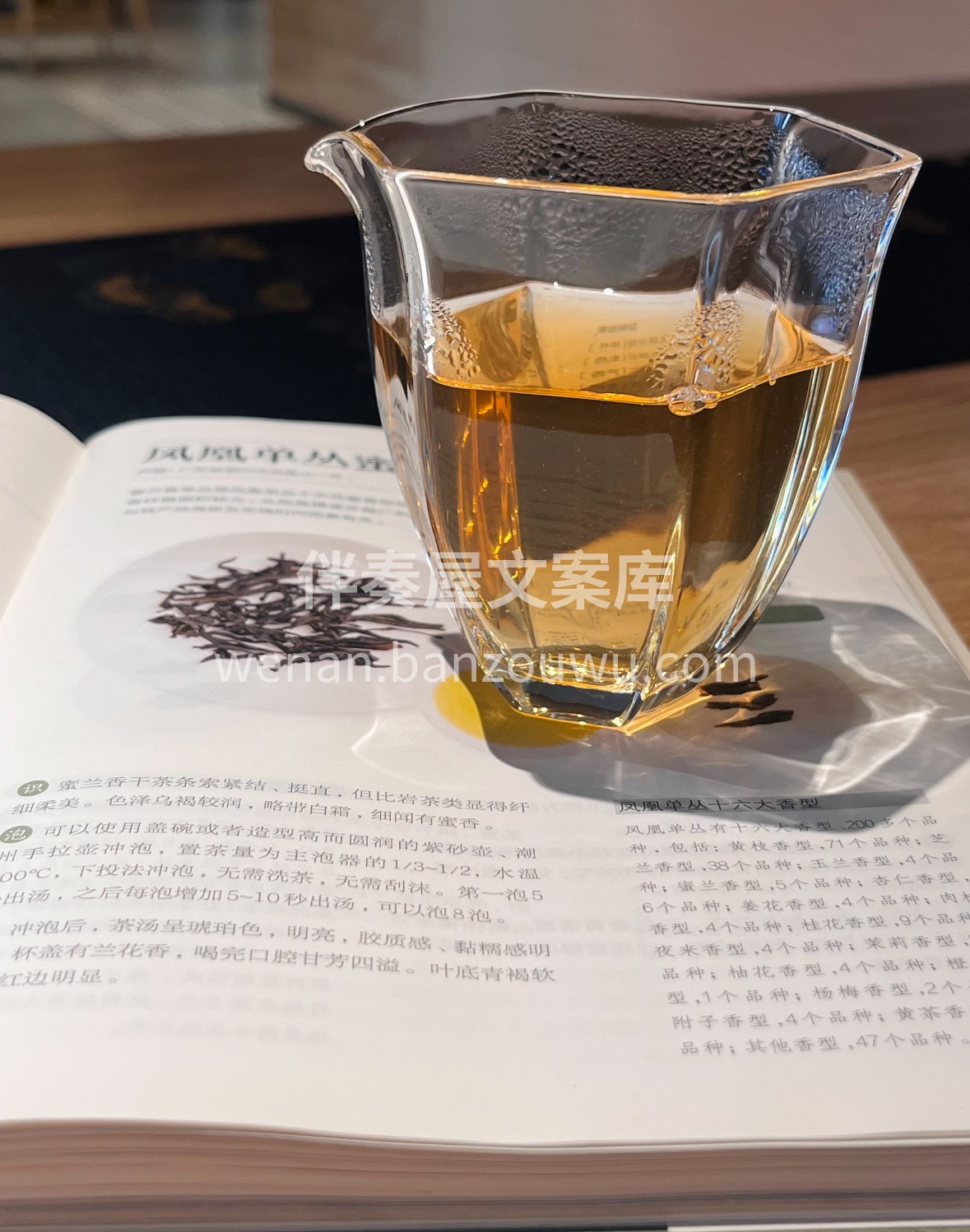 🍃 凤凰单丛｜粤东凤凰山古树鲜叶，经炭焙 配图3
