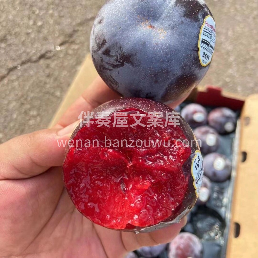 美国🇺🇸恐龙蛋「黑布林」🌸风靡世界，美到 配图2