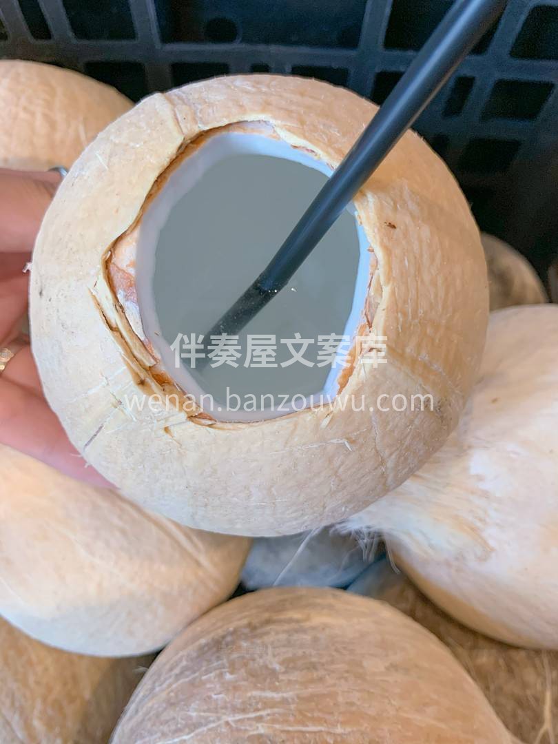 椰皇很完美💫💫 个子小小，水分却超级多😎 配图3
