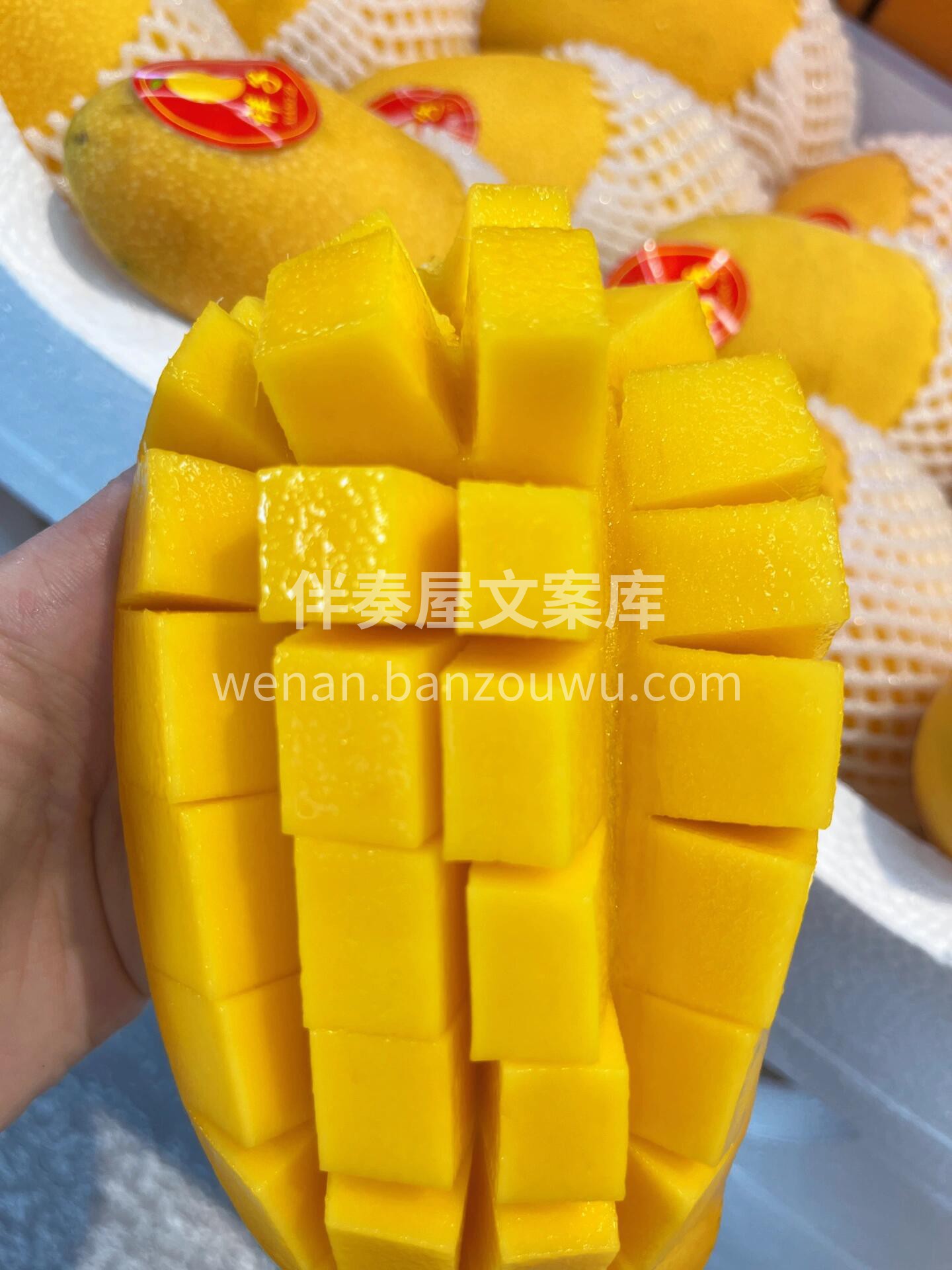 😍肉嘟嘟的水仙芒切不停🥭 甜爆你的味蕾🥰 配图2