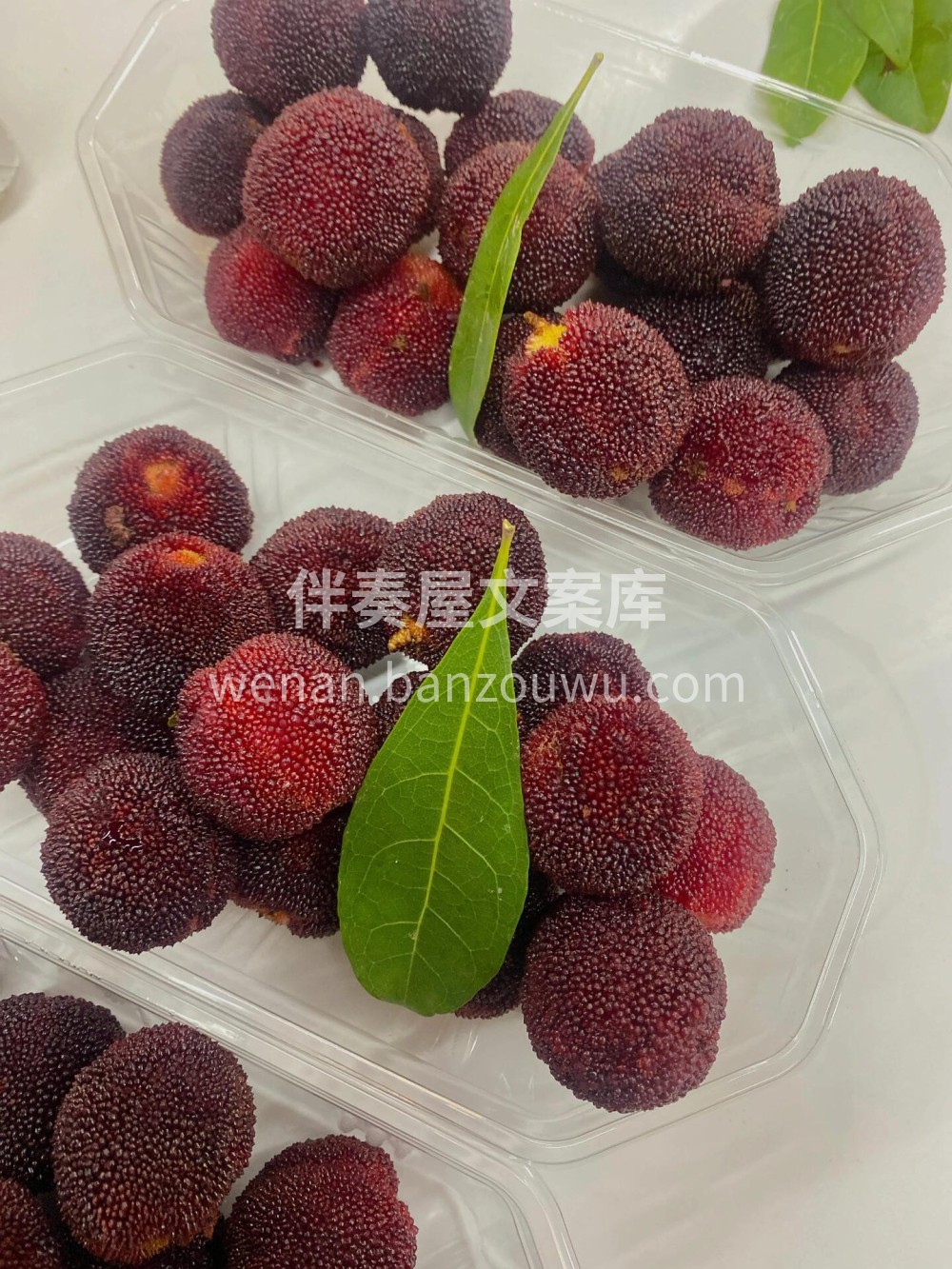 🥰不愧是浙江仙居的东魁❤️ 东魁杨梅的天 配图2