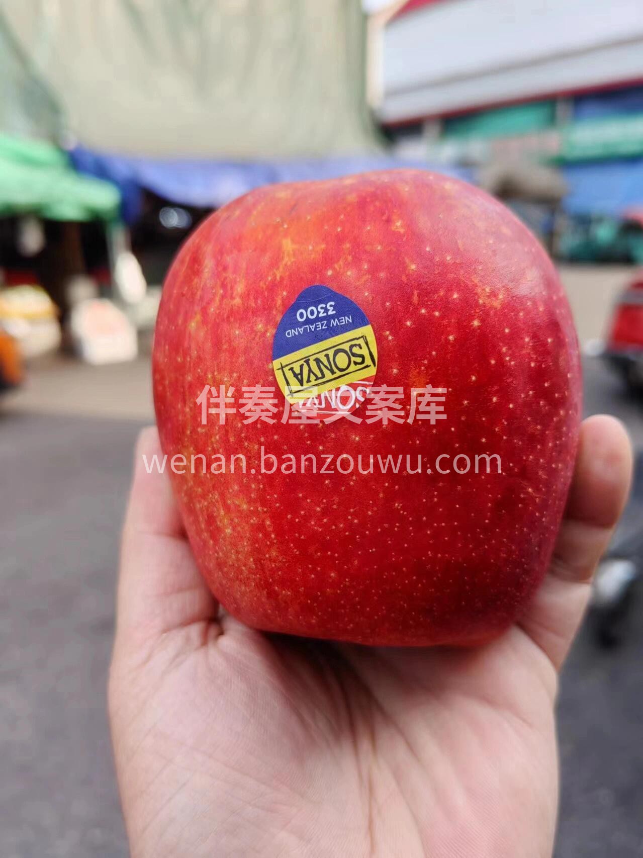 ✈来自新西兰的索尼娅苹果🍎🍎 青春女神的 配图1