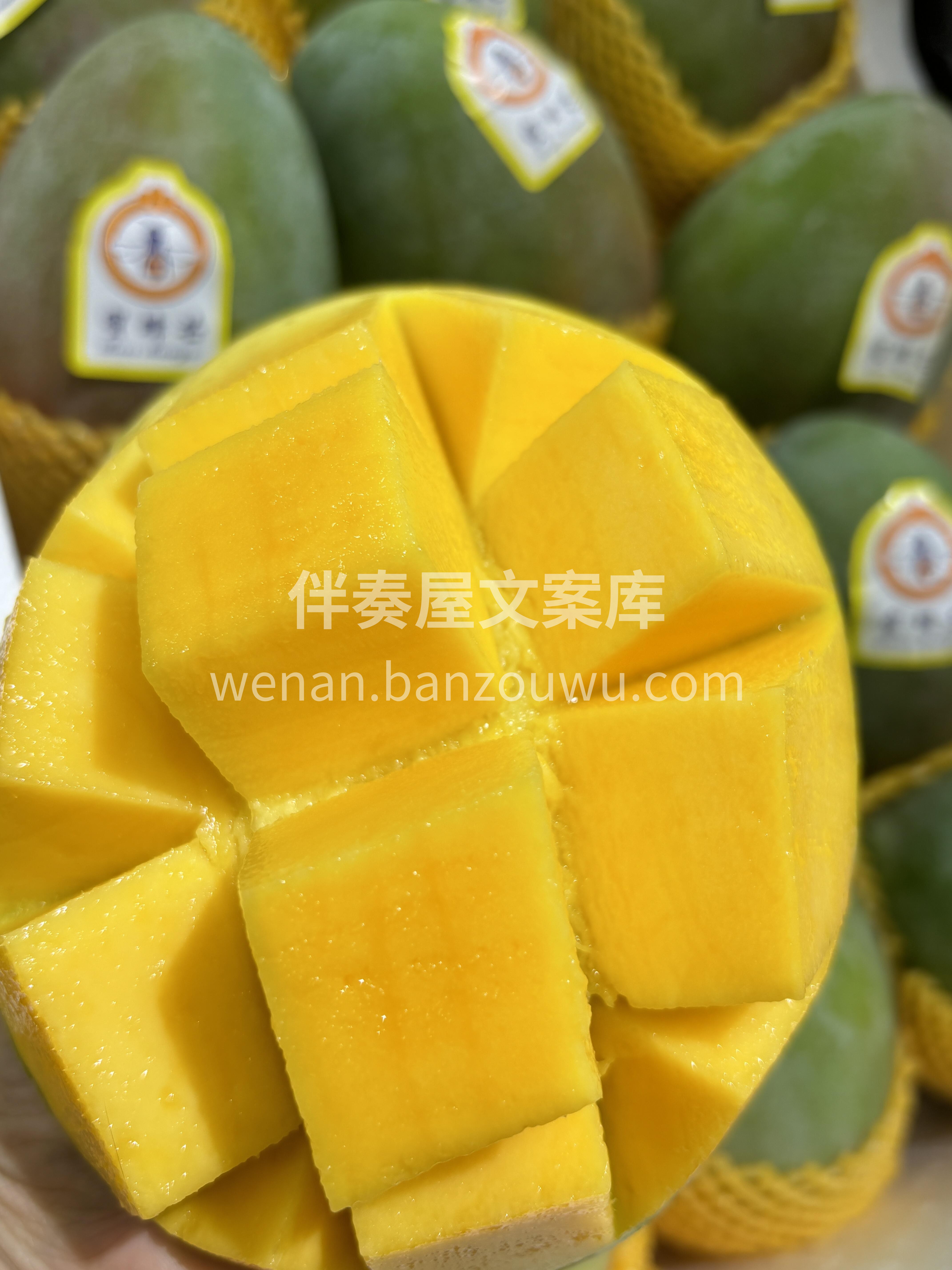 🌱攀枝花凯特芒🥭 个头巨大，一个就能切一 配图3