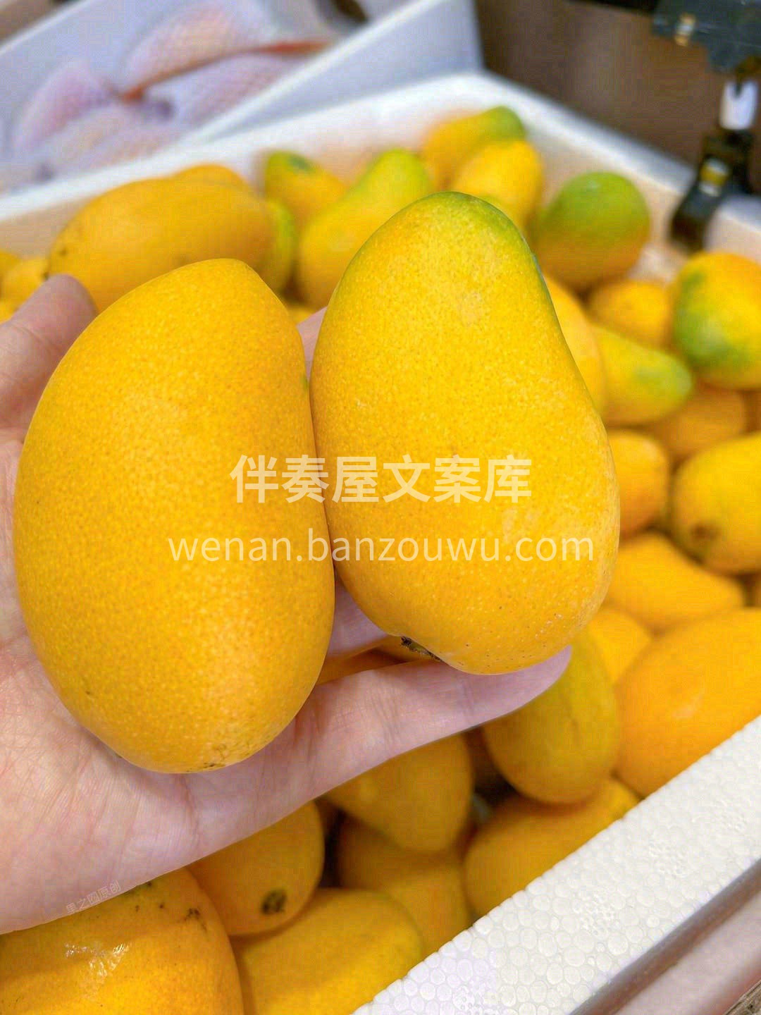最受欢迎的小台芒🥭 香味岀众，甜度超高🍹 配图2
