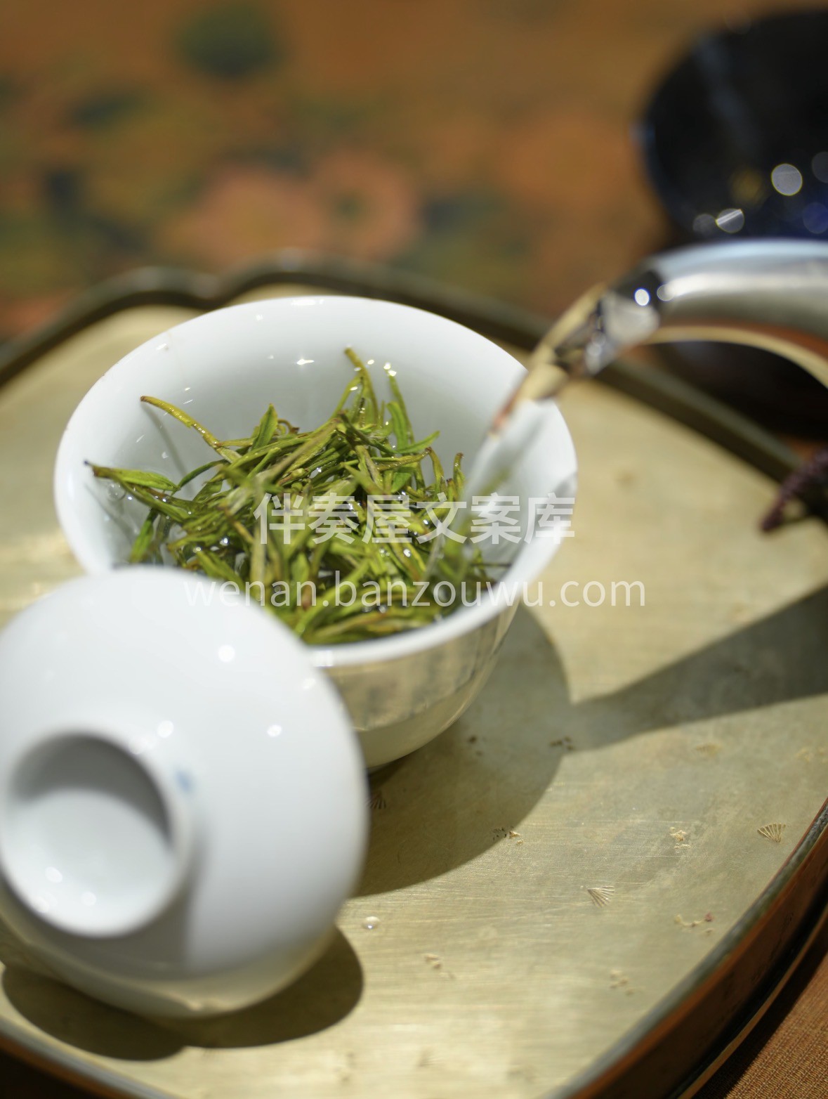 春风入茶山，安吉白茶头采上新。叶白脉翠， 配图2