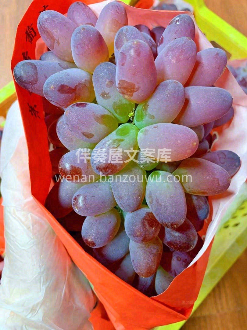 颗颗爆汁💧，香甜可口🍯，这是被阳光和花香 配图3