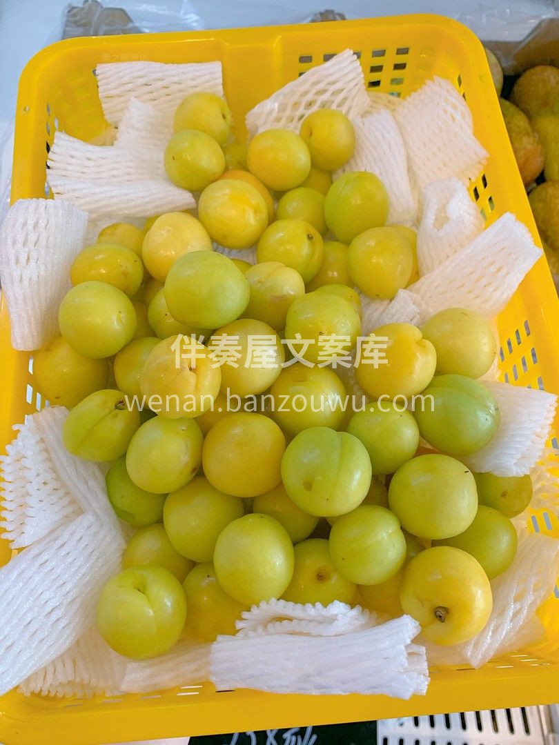 这个夏天，“杏”好遇见你👫 玲珑的新疆小 配图3