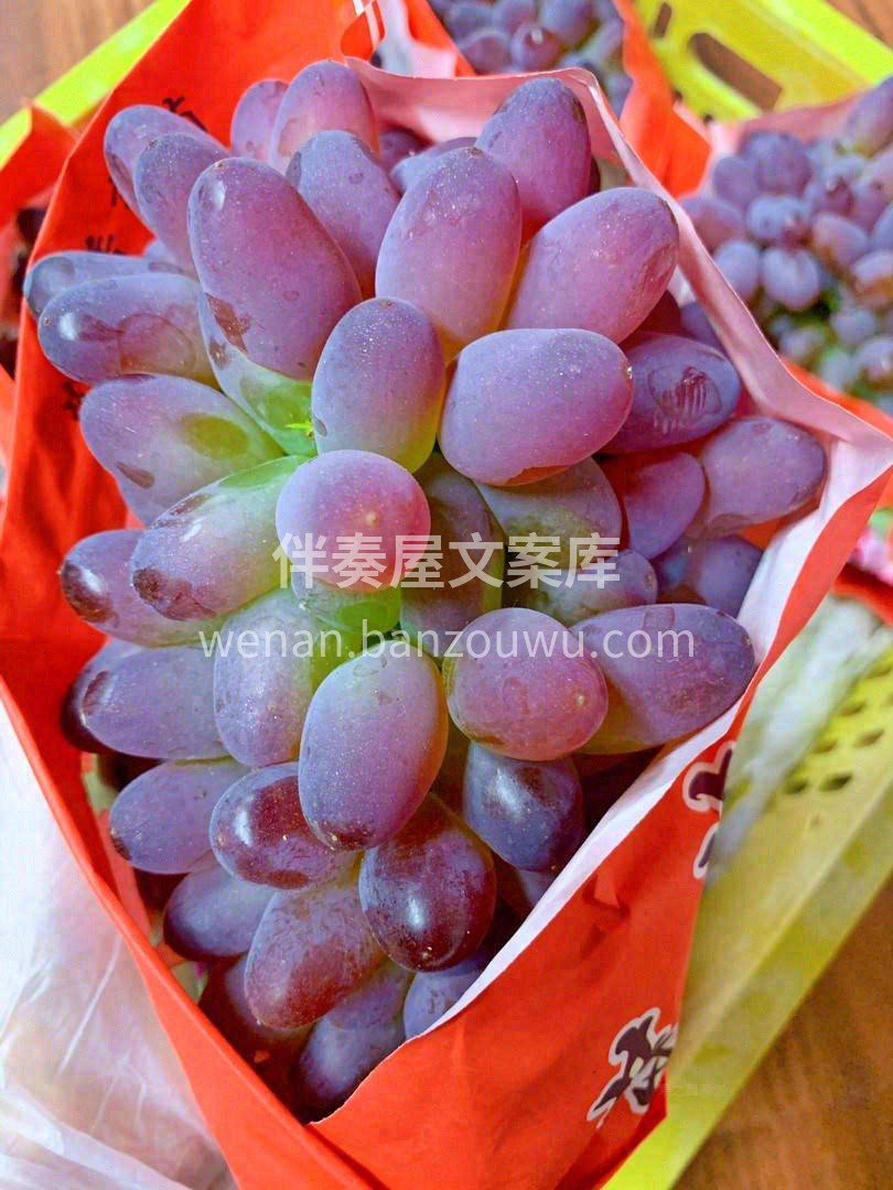 颗颗爆汁💧，香甜可口🍯，这是被阳光和花香 配图2