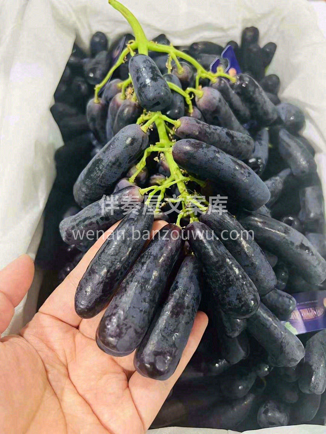 ✨从源头把控每一串手指青提的高品质🍇 在 配图1