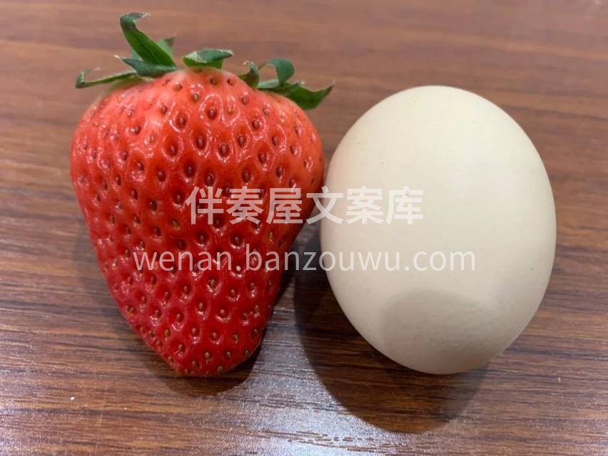 🍓吃了那么多草莓🍓，还是丹东九九更好吃‼ 配图1
