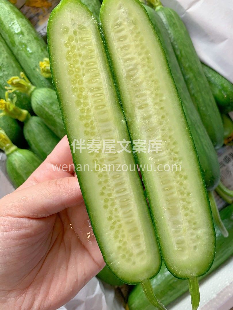 🥒通体如玉，鲜嫩碧绿看起来像十八岁的少女 配图2