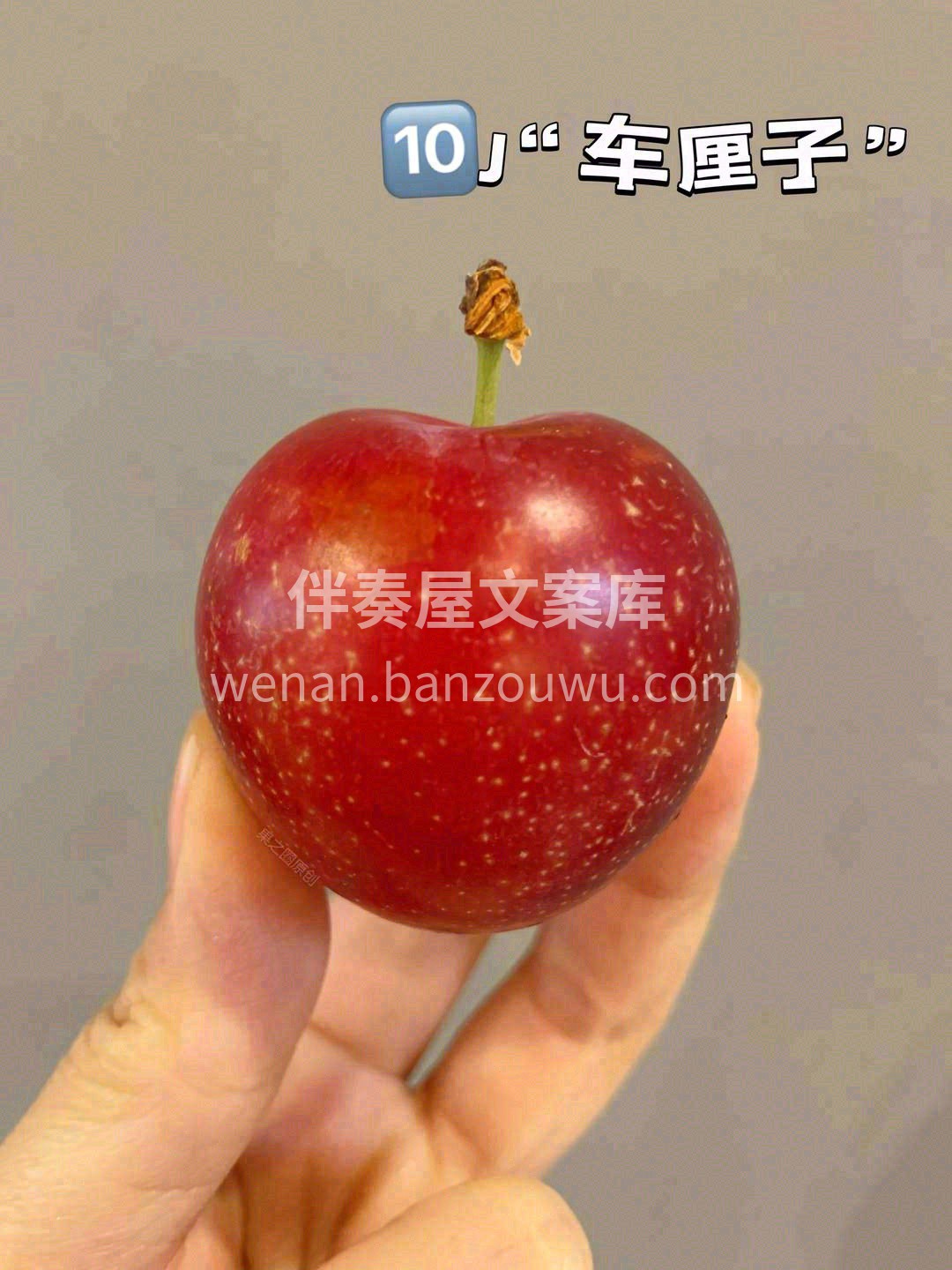 10J“车厘子”🌈，一口甜到你🎉 智利樱 配图1