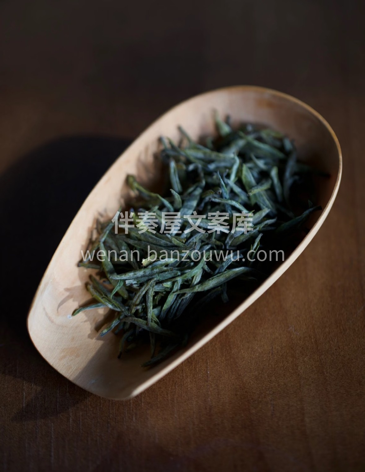 晨露凝尖，银毫满披。杯中君山银针缓缓挺立 配图2