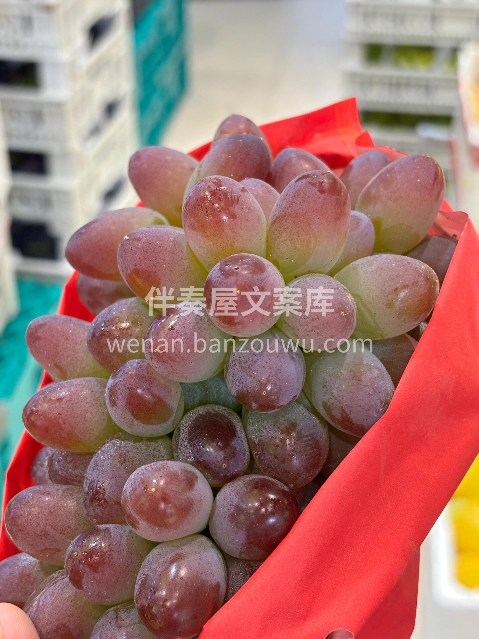 🍇 茉莉香葡萄！🍇 翠绿透亮像翡翠～颜值 配图1