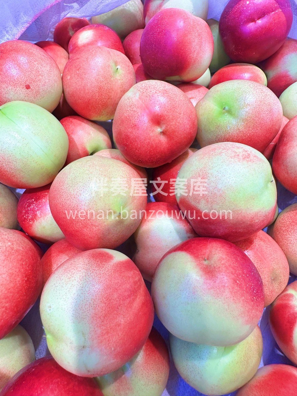 🍃珍珠枣油桃🍑 人见人爱的小桃子💚 离核 配图2