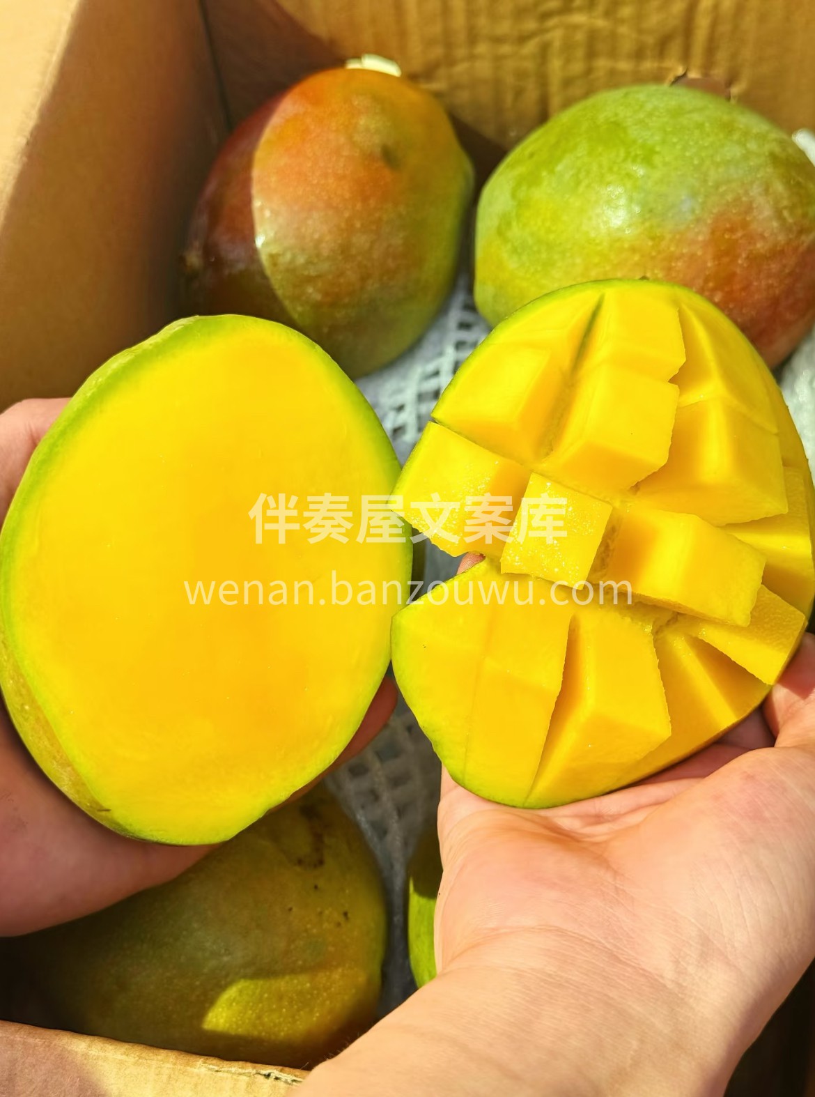 一口水果🍒一口好心情 🍐清甜解渴🍌软糯饱 配图2