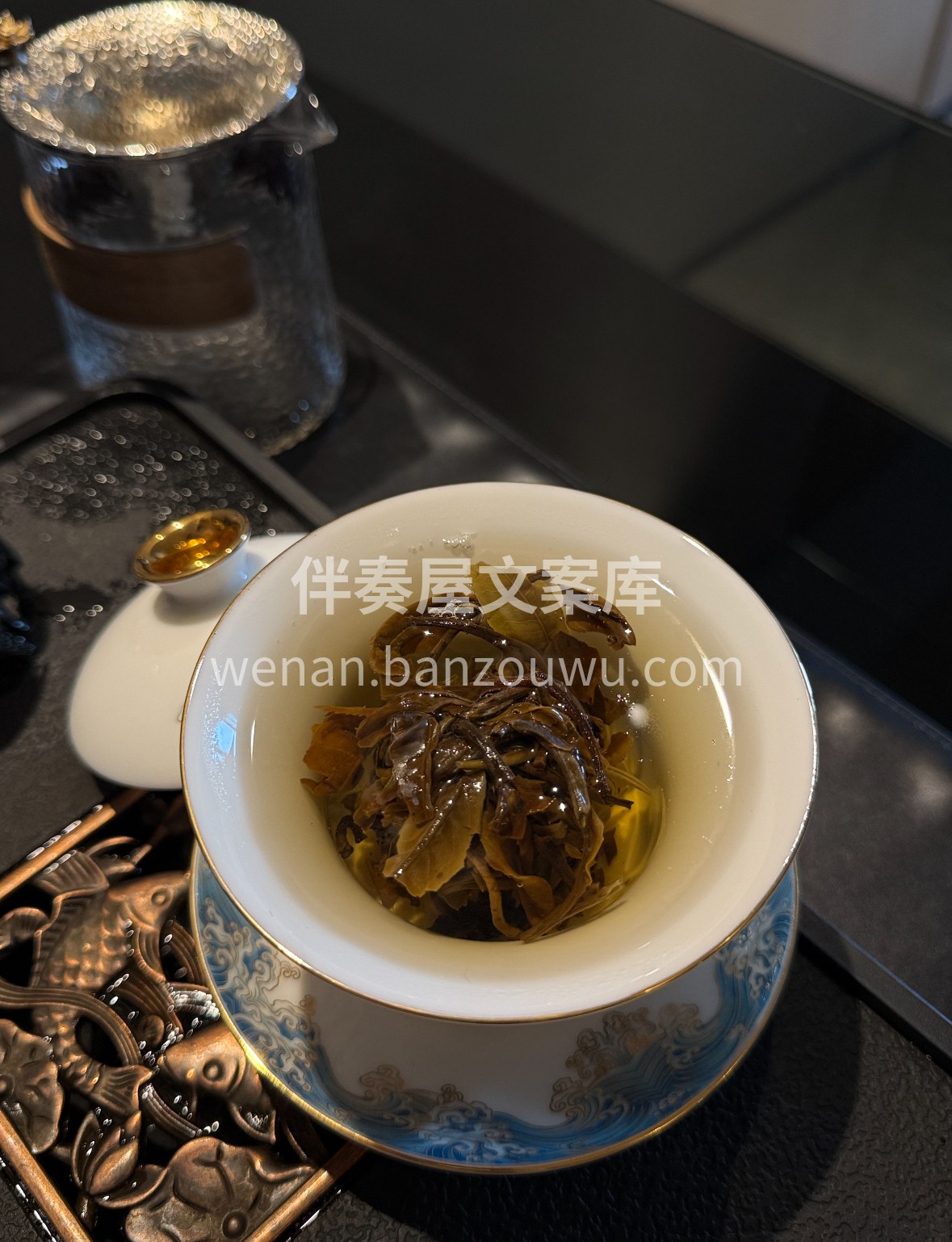 🌿 月光美人，白茶中清雅尤物。月光下萎凋 配图1