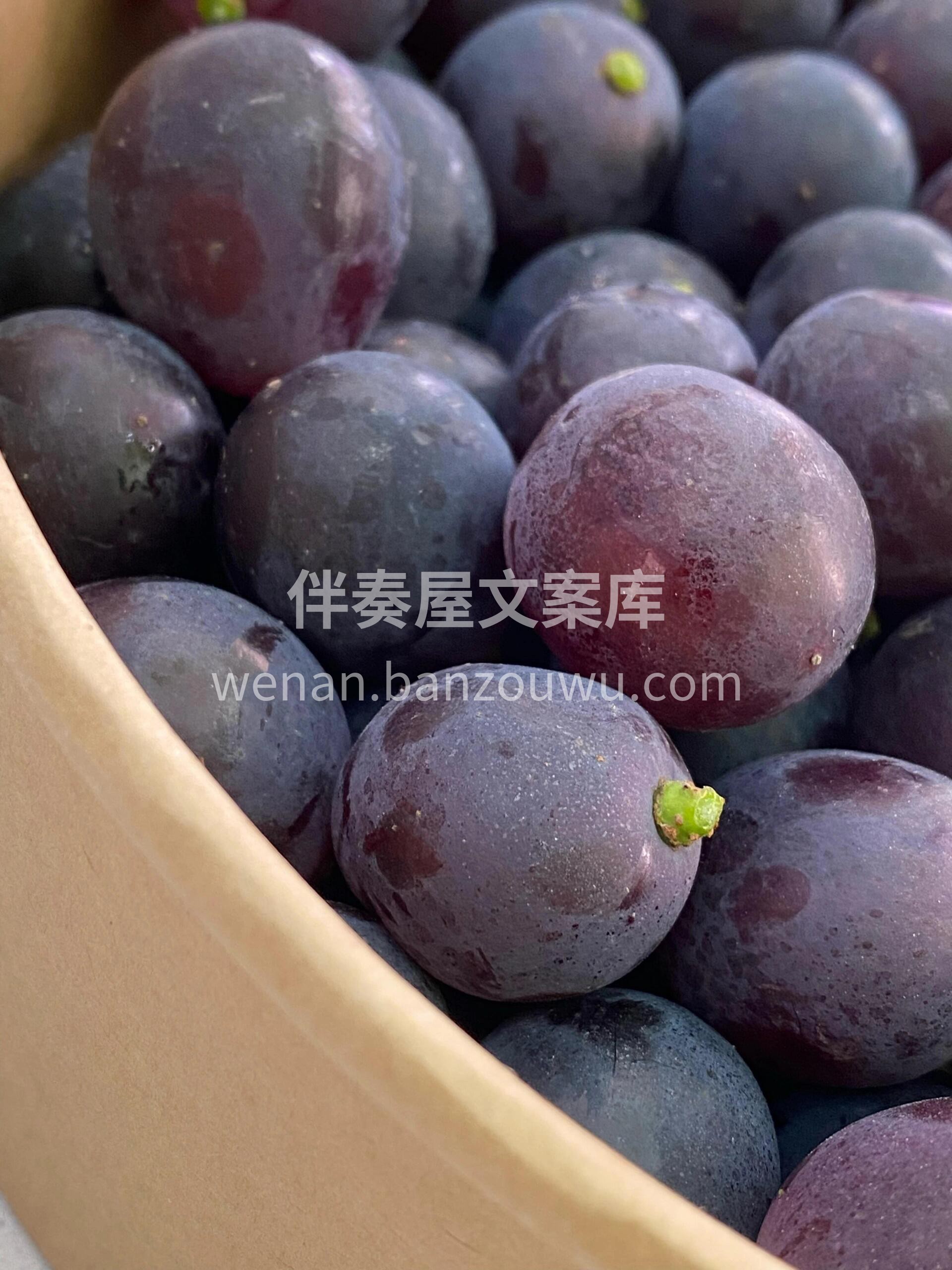 🍇巨峰葡萄来袭！ 颗颗饱满圆润，汁水多到 配图1