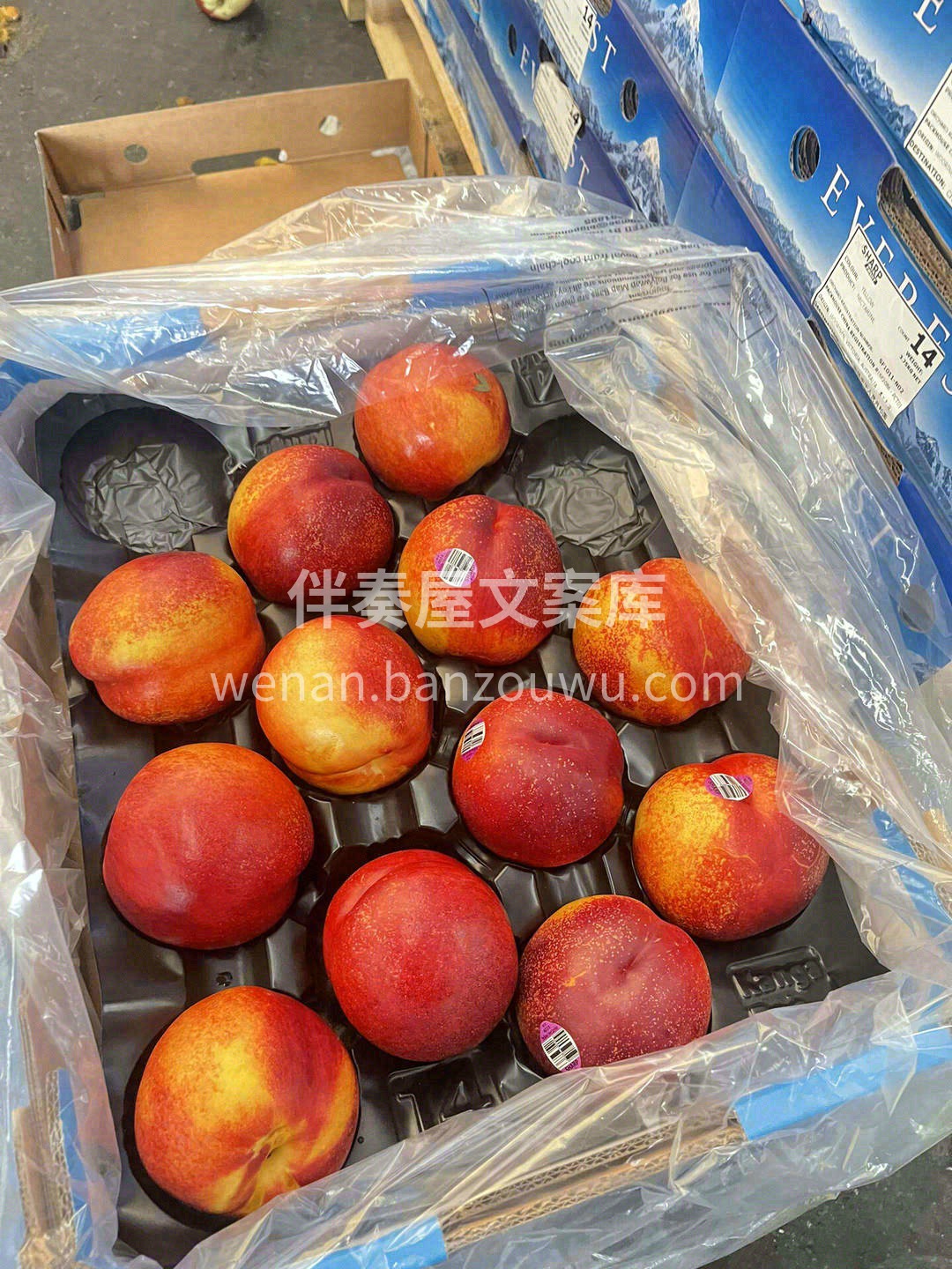 澳洲油桃，一口便能吃到南半球的桃香🍑 水 配图3