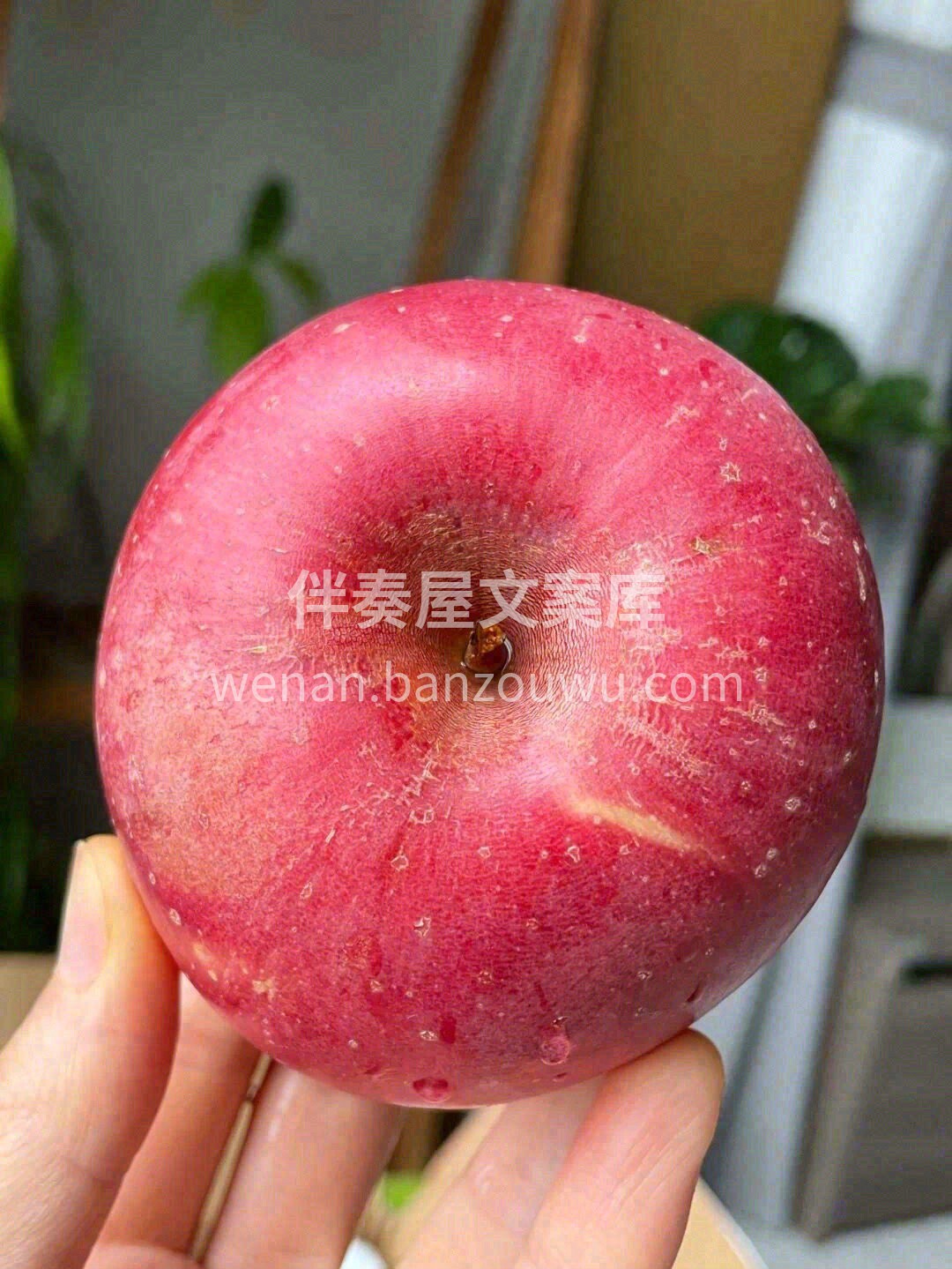 🍎红色的果面让人垂涎万分，未见其肉，先闻 配图2