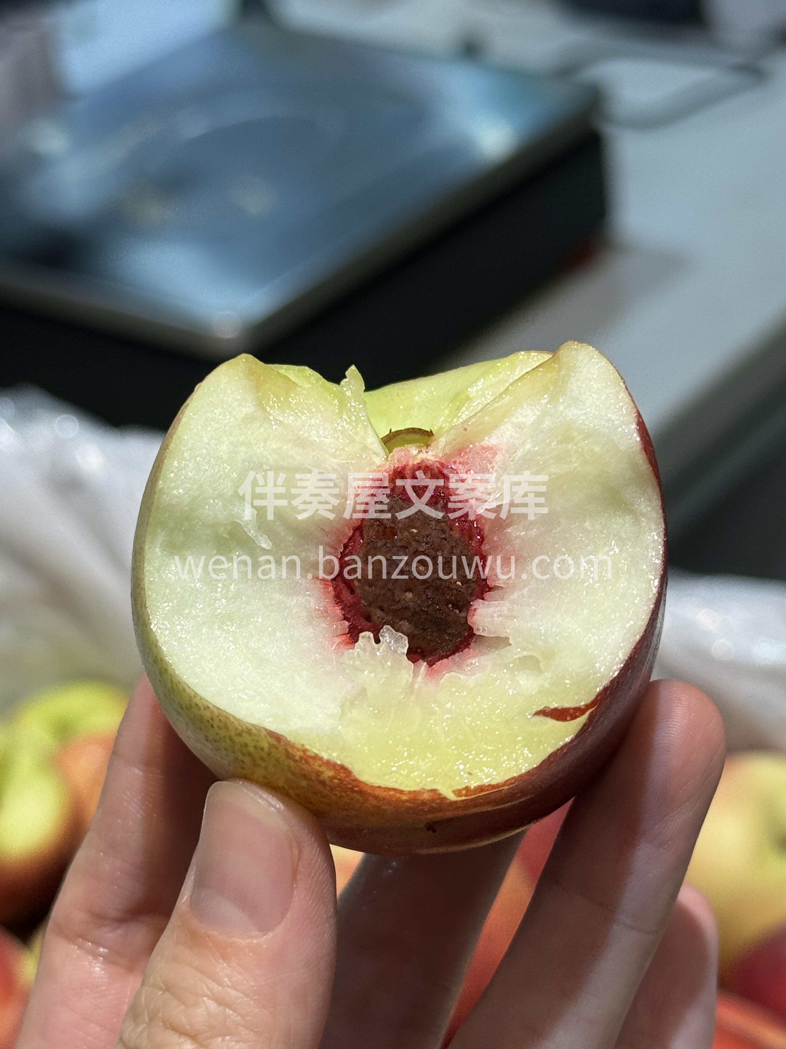 🍃珍珠枣油桃🍑全员宠爱的一款小桃子💚离核 配图2