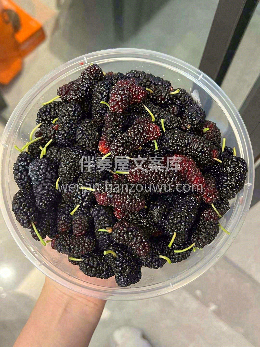桑果飘香🎈 小小个头，却丝毫不输气场🌋  配图2