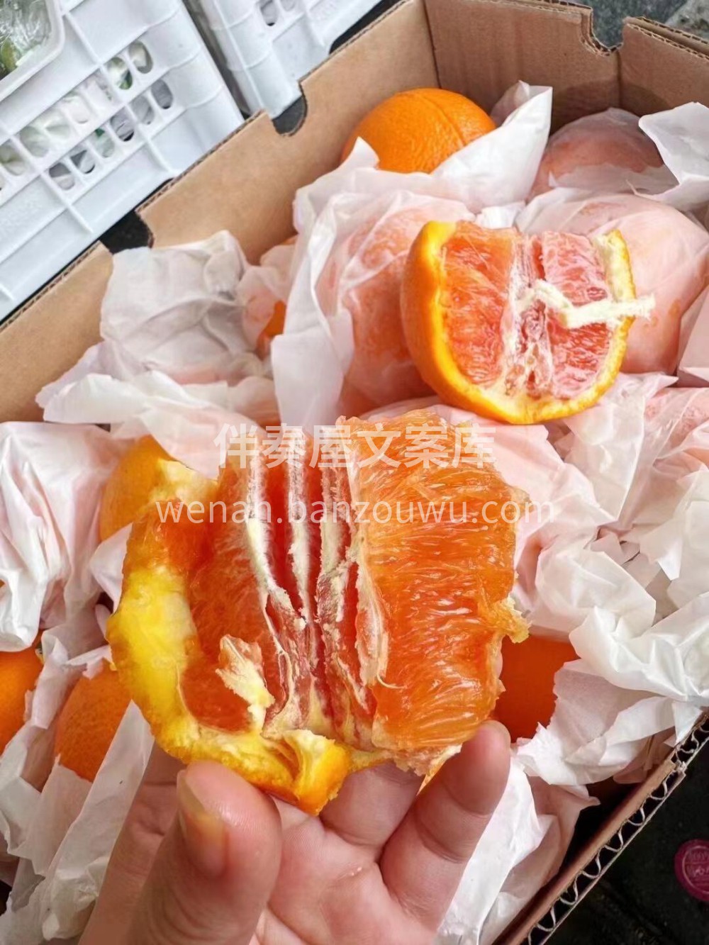 血橙🍊 营养丰富‼️香甜多汁🔹有一种芬芳 配图1