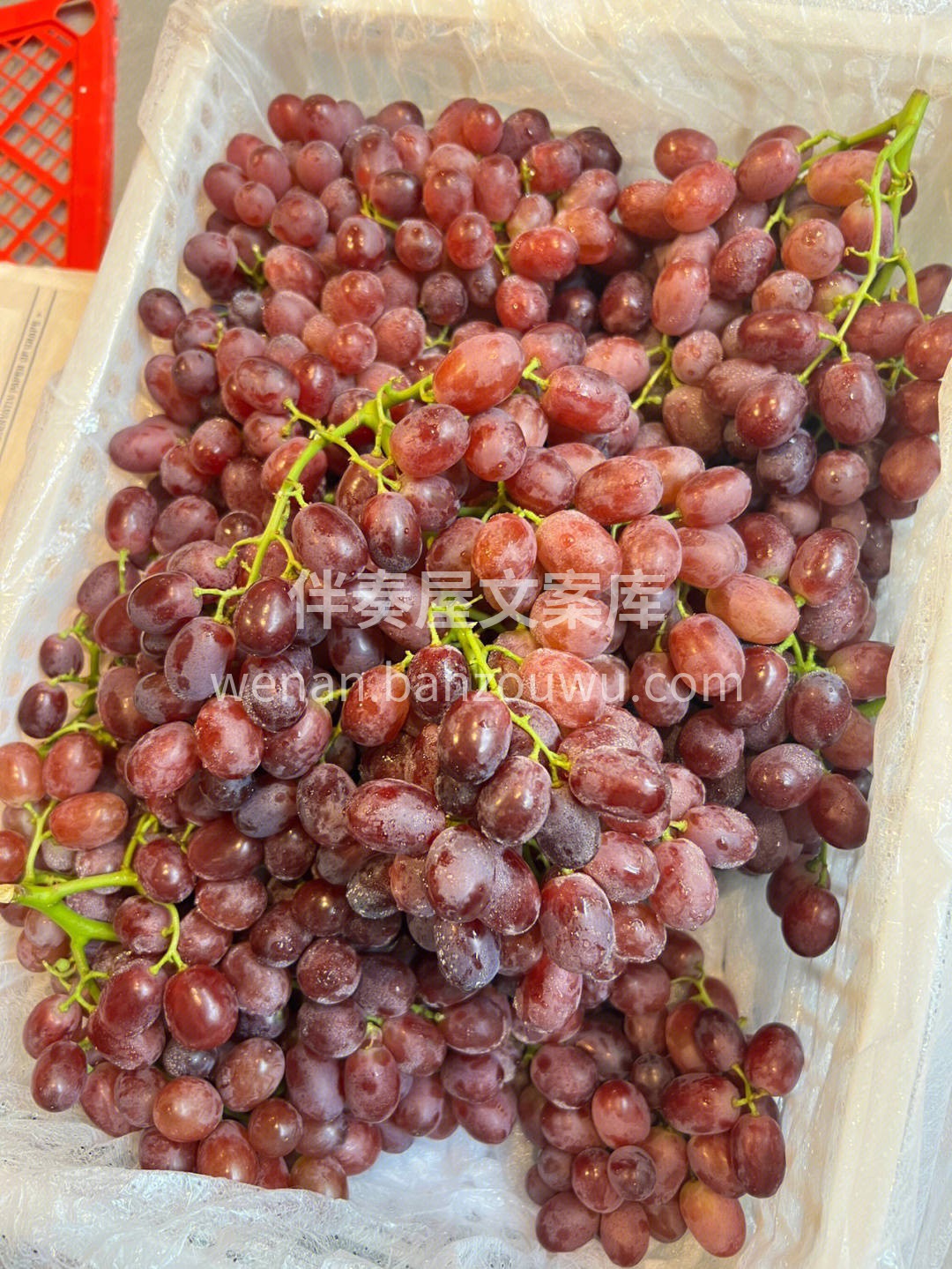 🍇颗颗晶莹饱满，犹如一颗颗红玛瑙💖 新鲜 配图2
