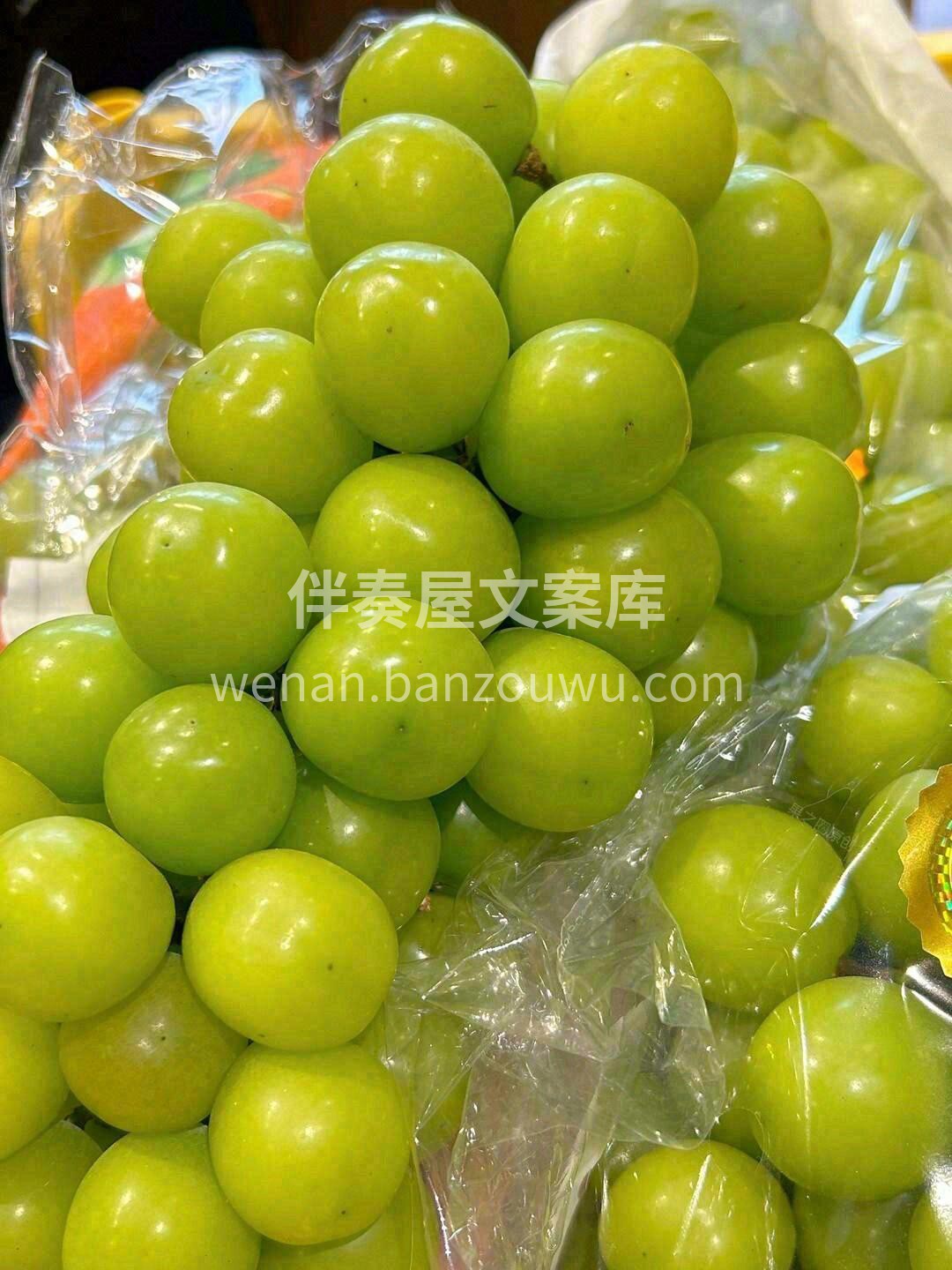 又脆又甜🔥特级阳光玫瑰｜ |自带一股淡淡 配图2