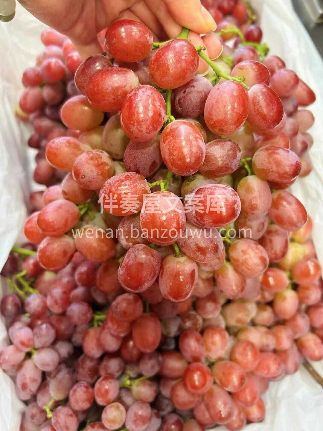 给生活加点＂糖＂😍 给自己来串脆脆甜甜的 配图3