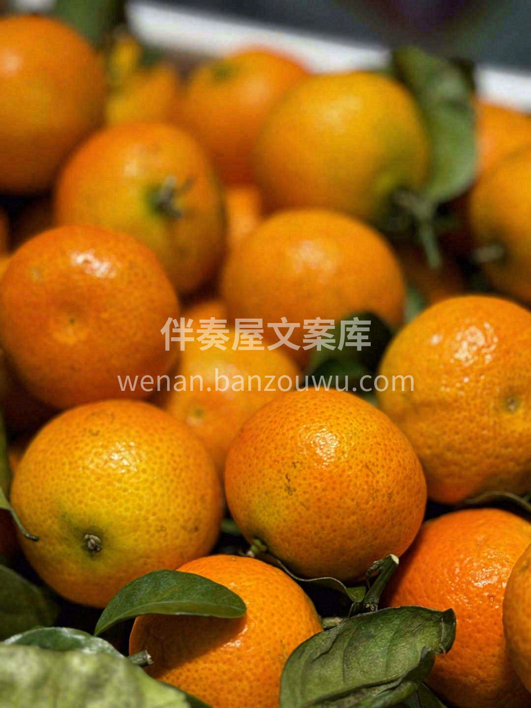 秋风起🍁水果正当时 清甜不腻🍐滋润身心  配图2